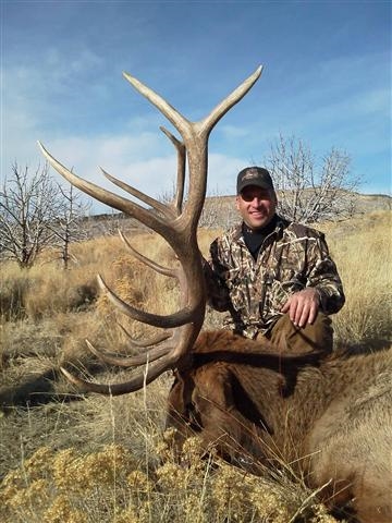 elk12.jpg
