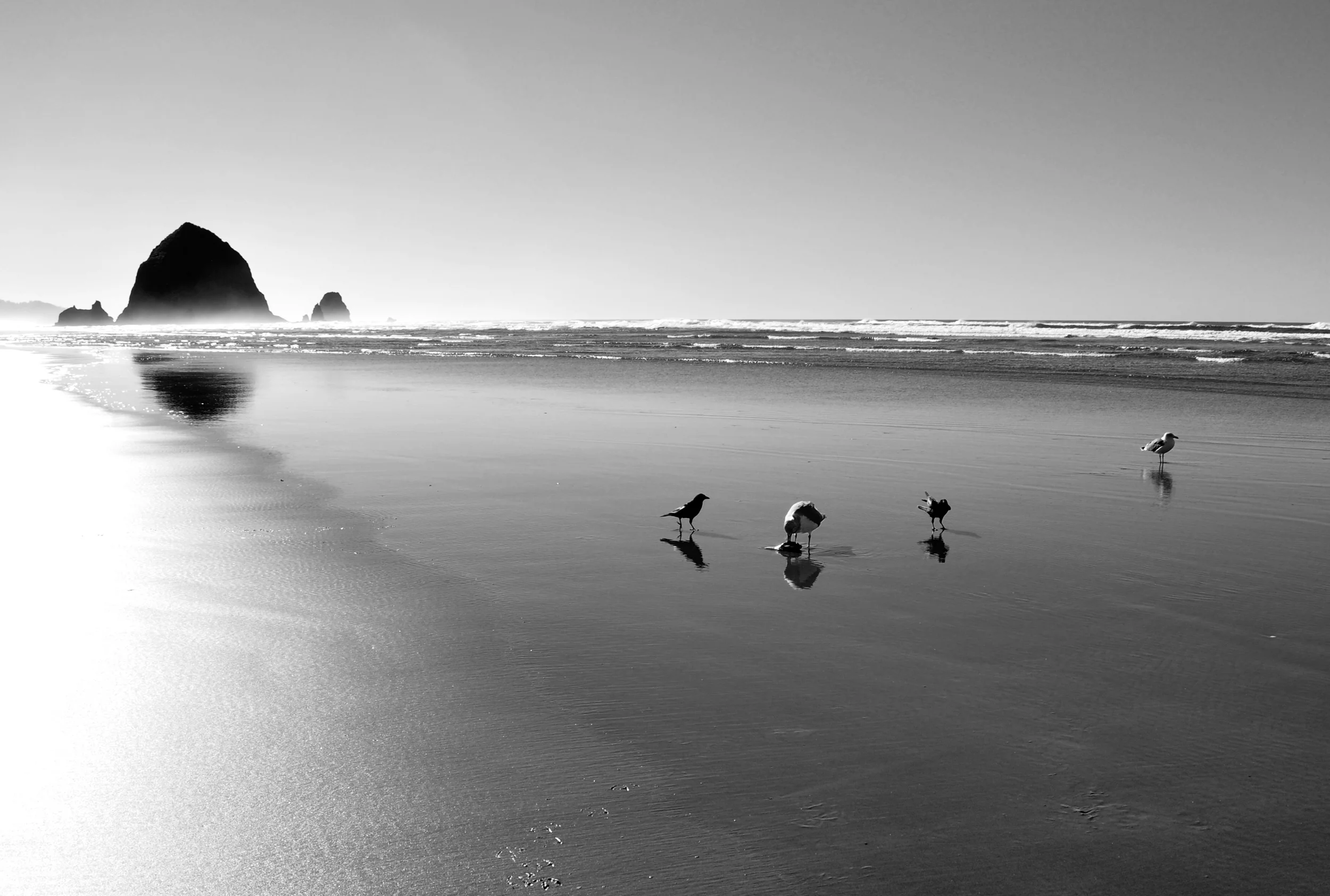 Haystack&birds-BW.JPG