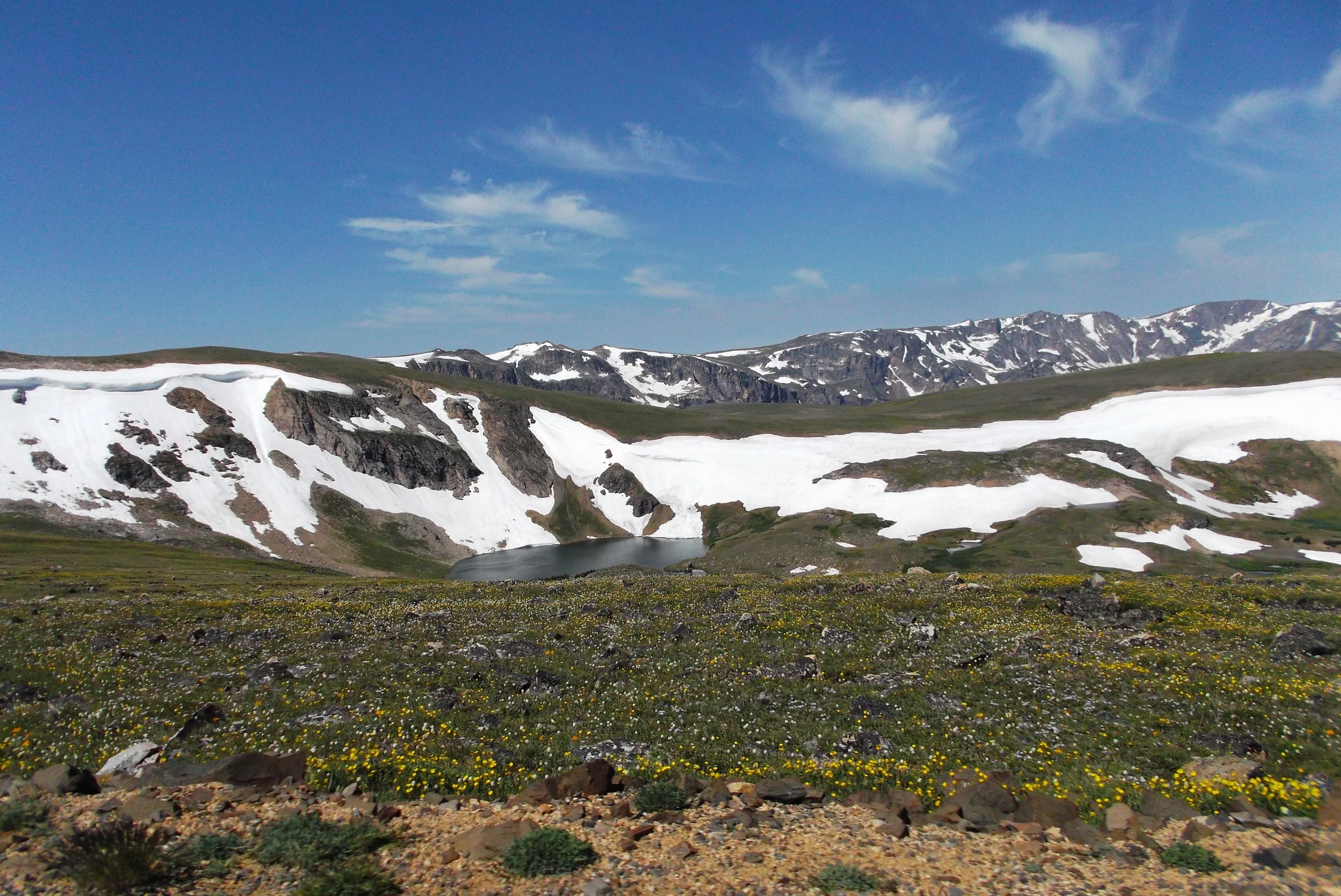 DSCF1559.JPG