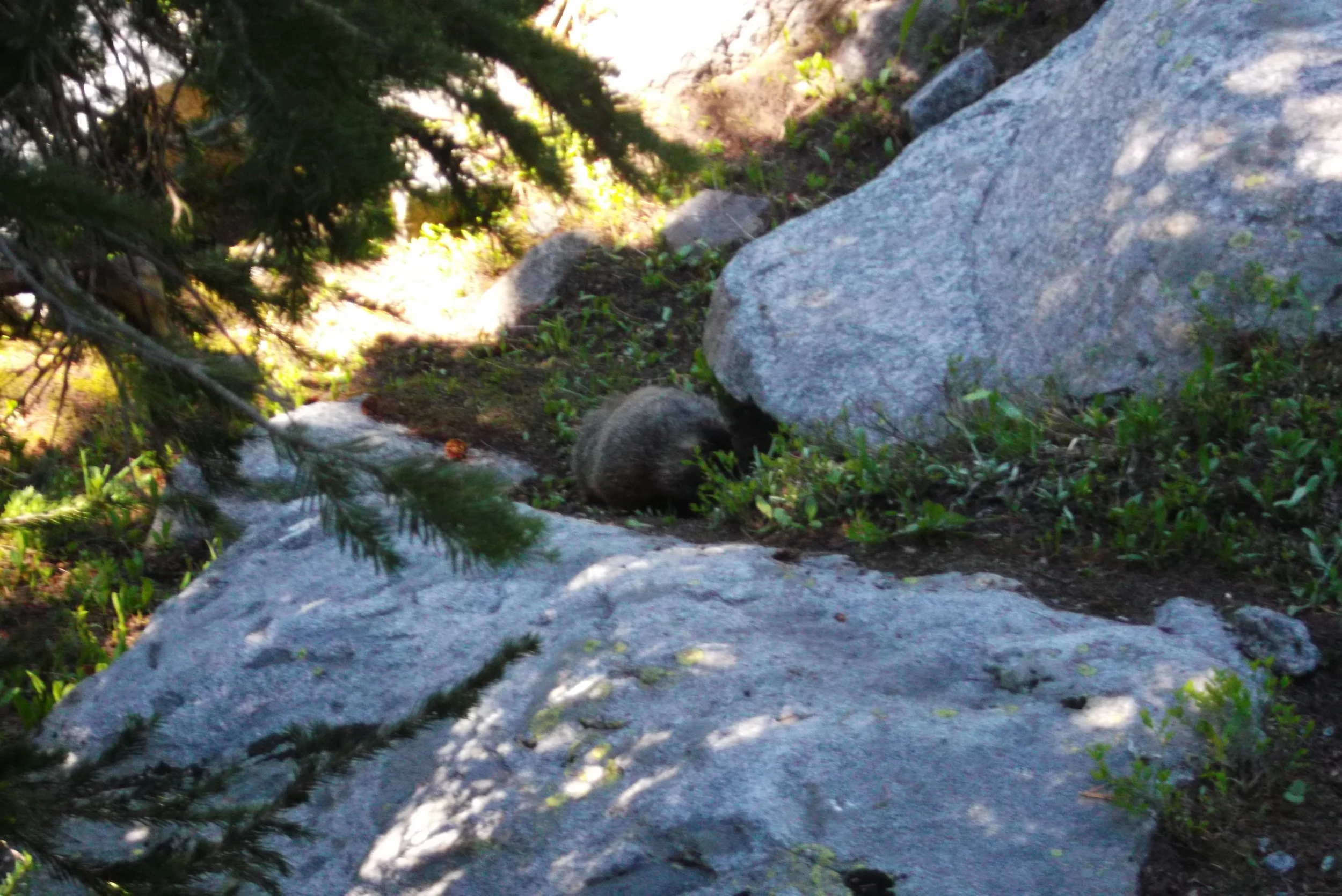 DSCF1796.JPG