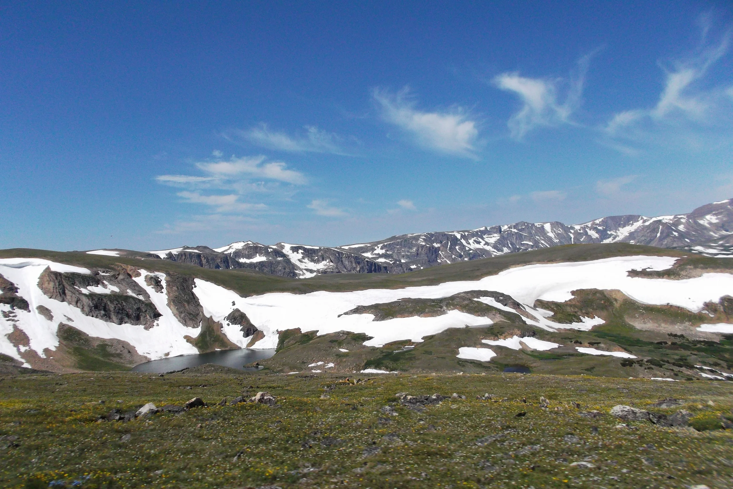 DSCF1556.JPG