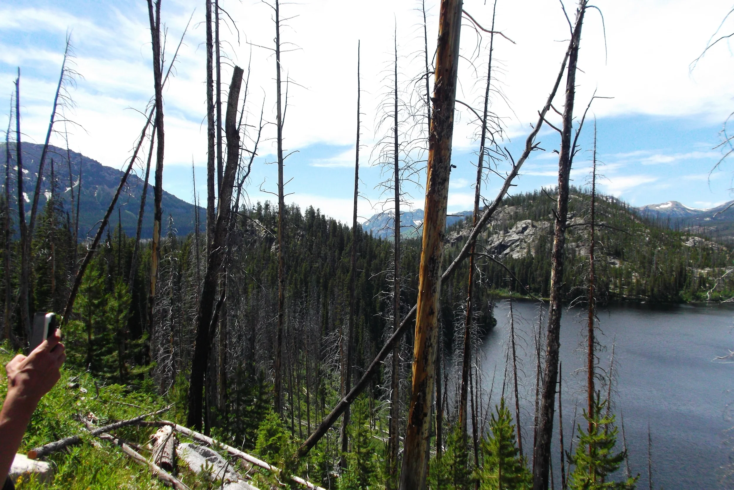 DSCF1618.JPG
