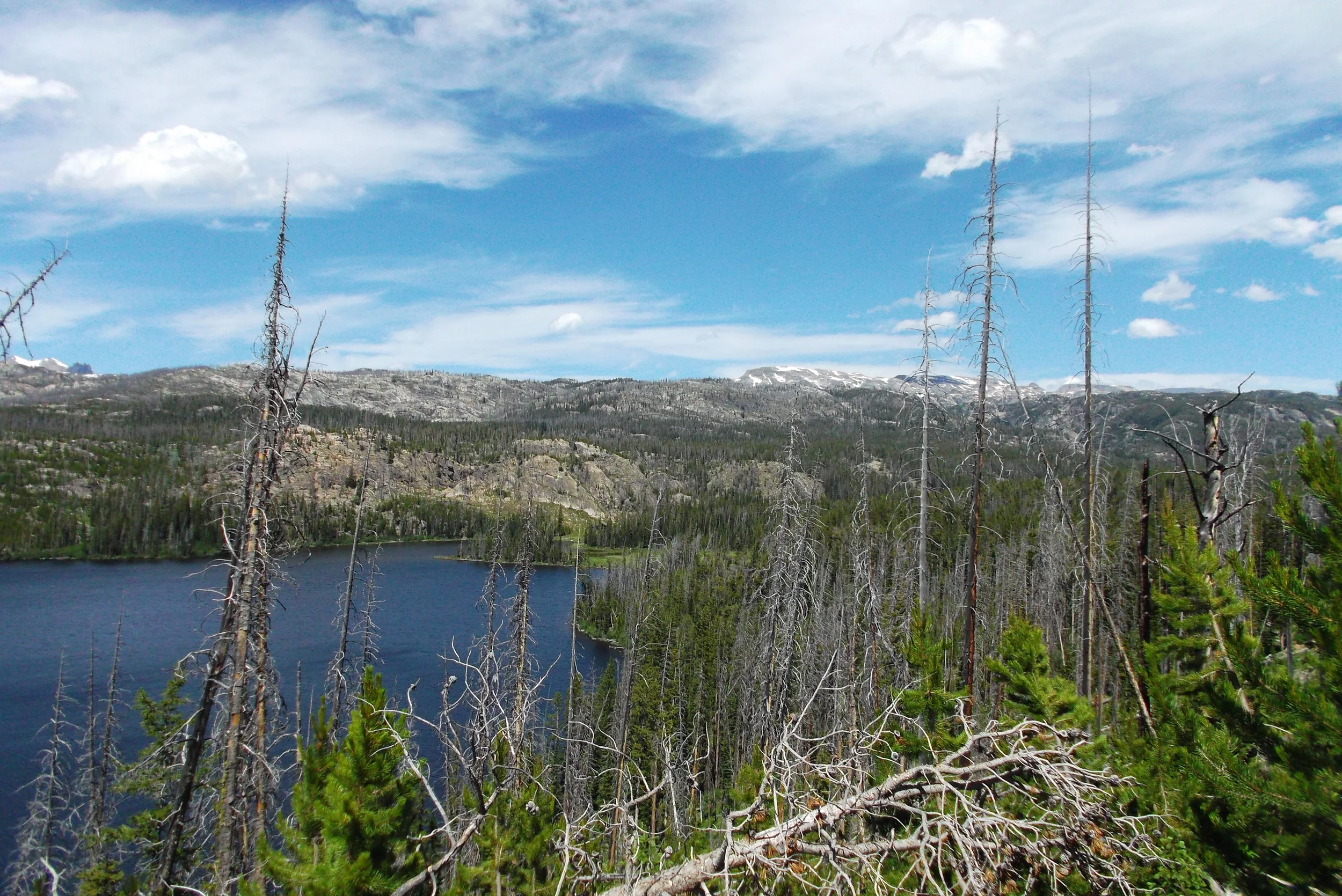 DSCF1622.JPG