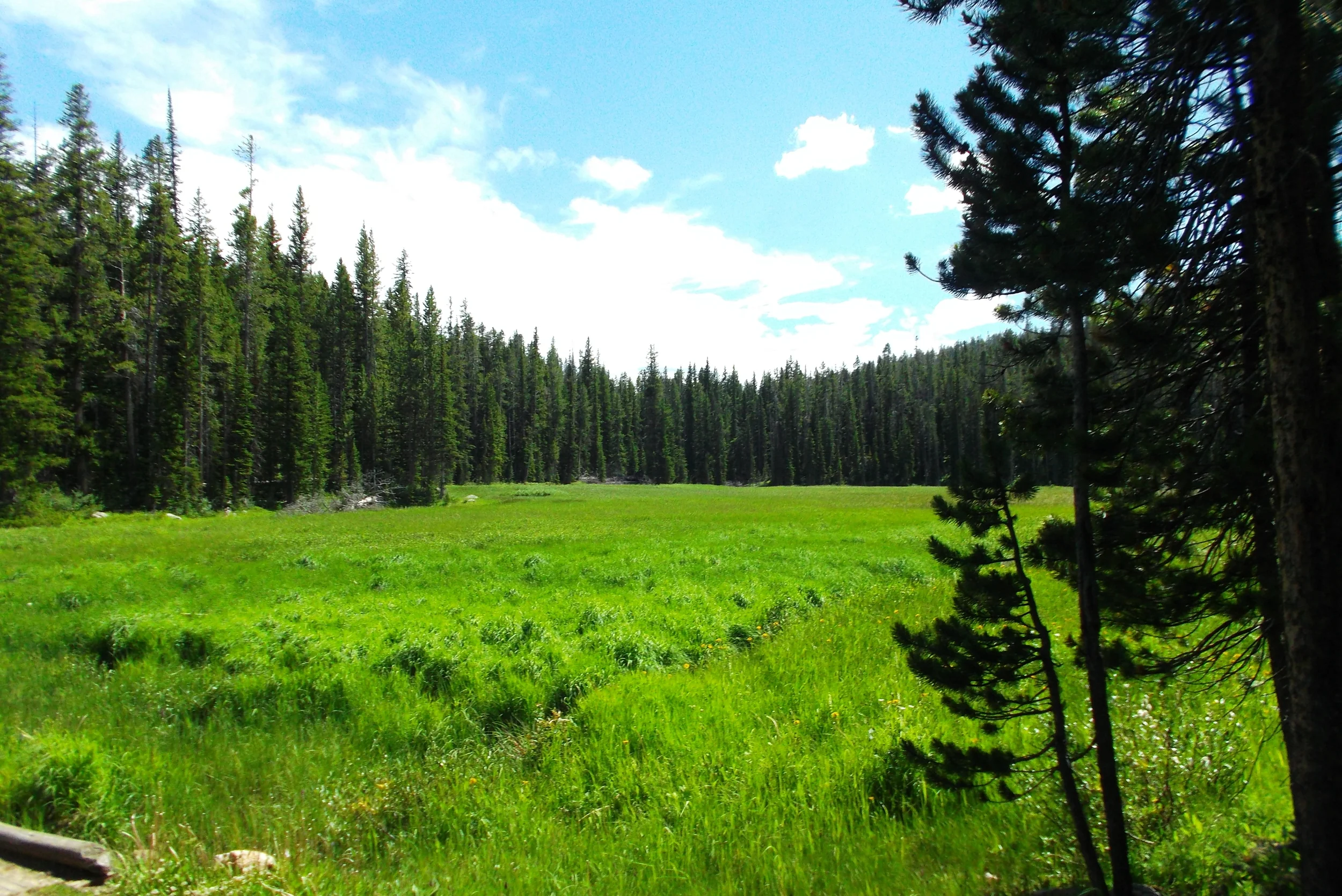 DSCF1627.JPG