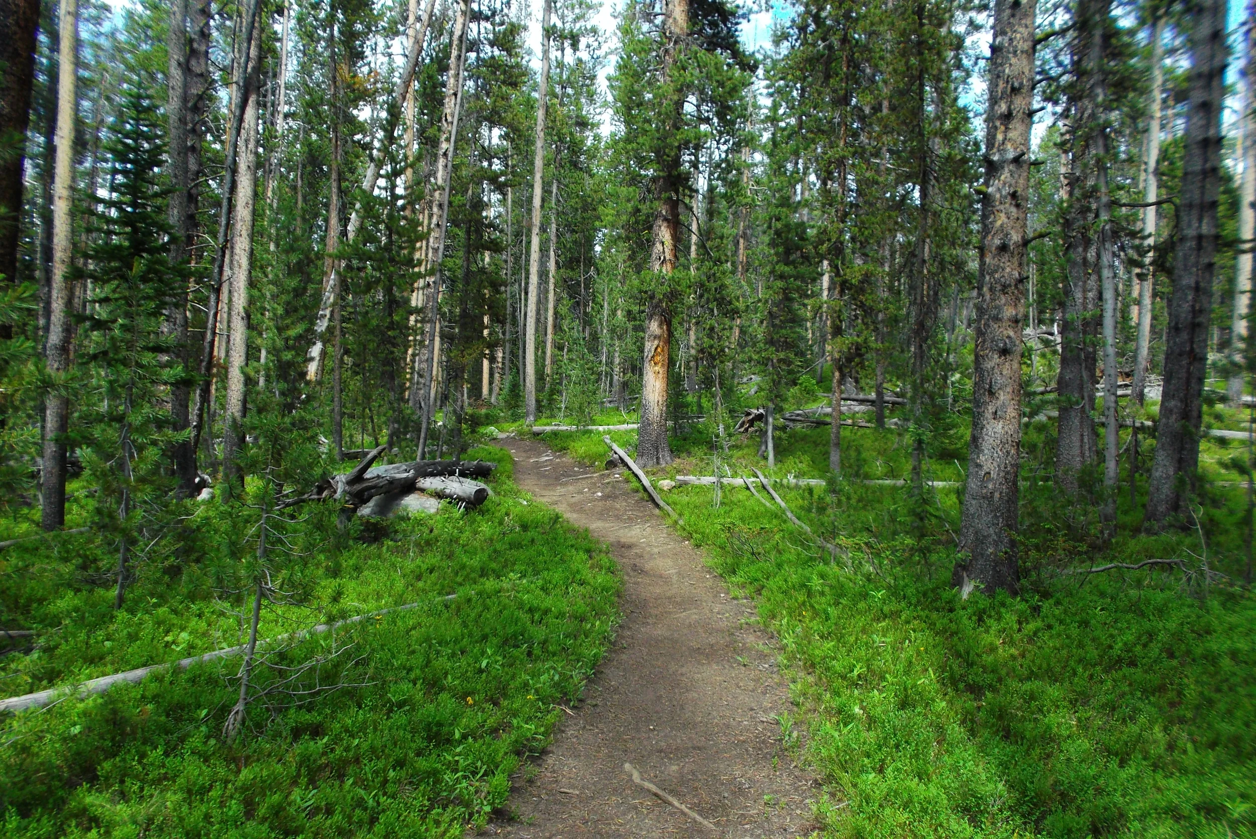 DSCF1635.JPG
