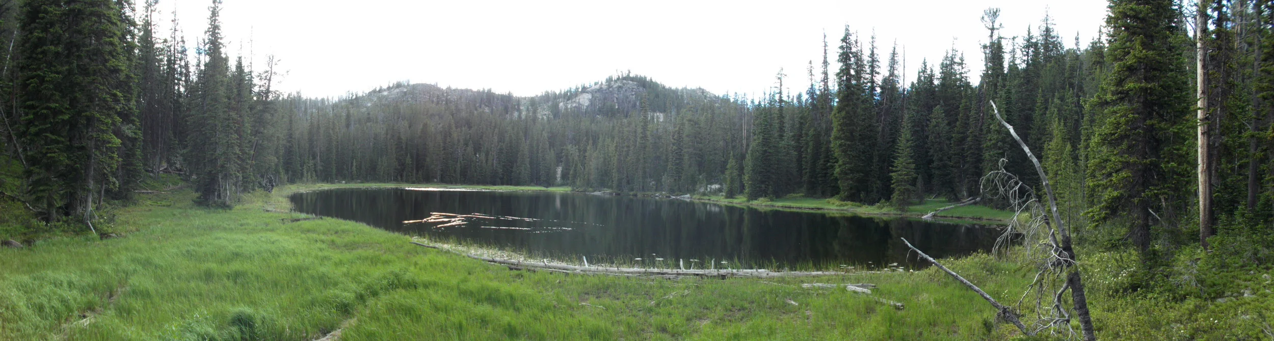 DSCF1662.JPG