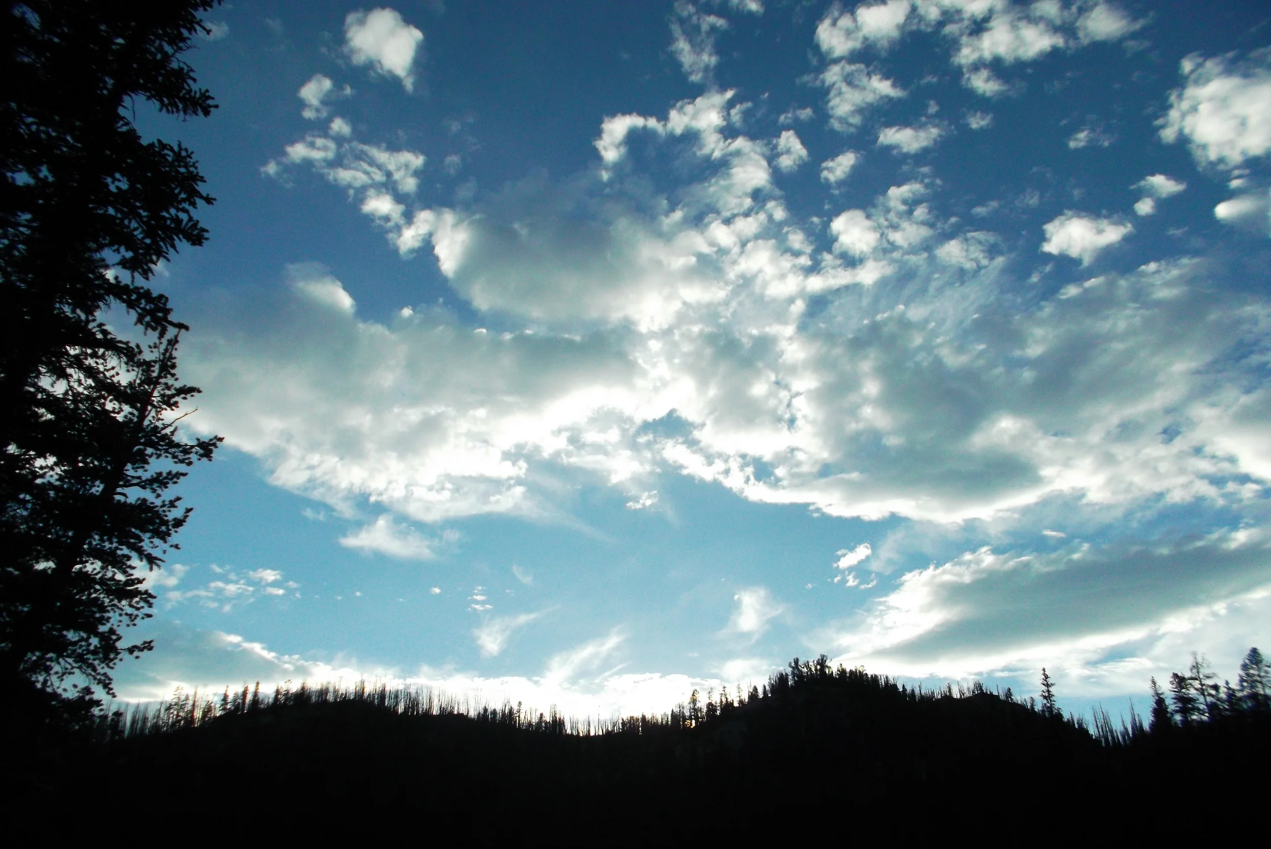 DSCF1670.JPG