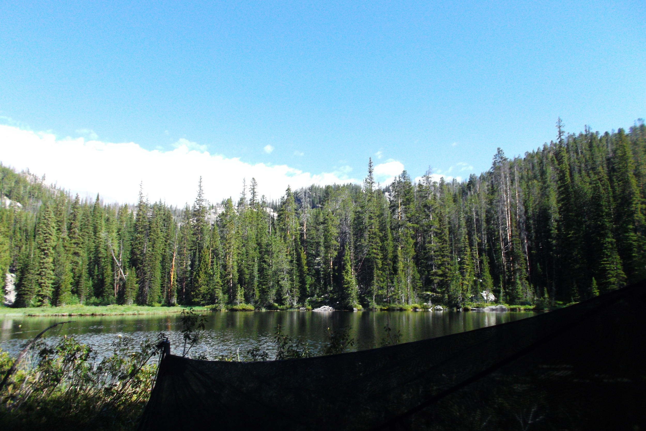 DSCF1679.JPG