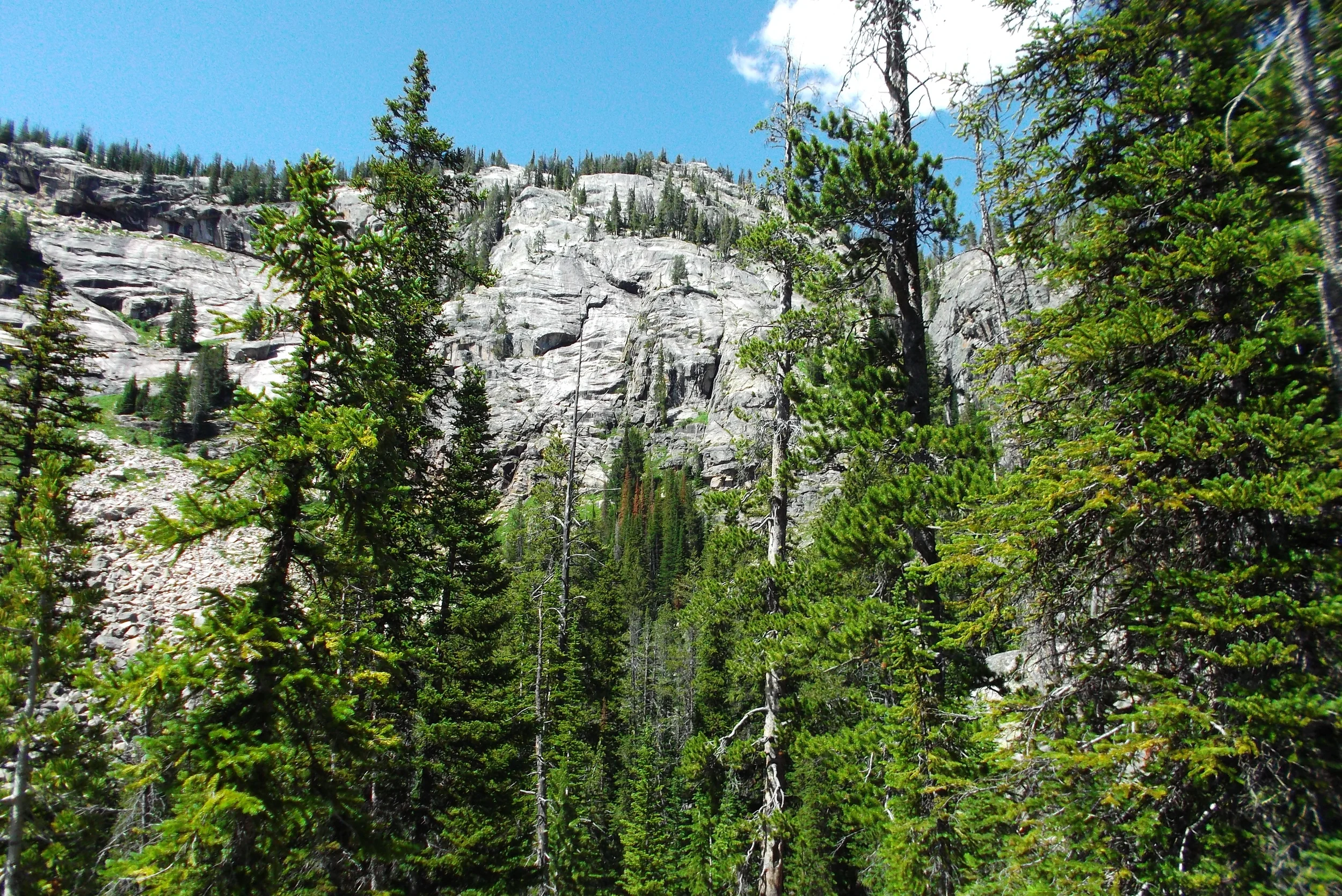 DSCF1696.JPG
