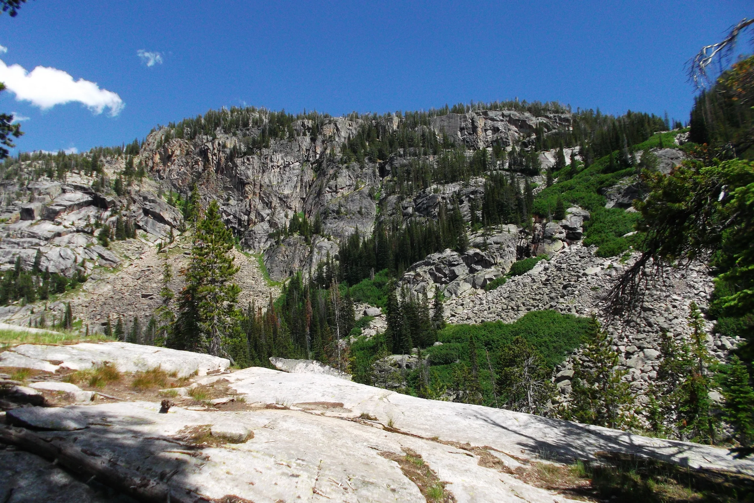 DSCF1703.JPG