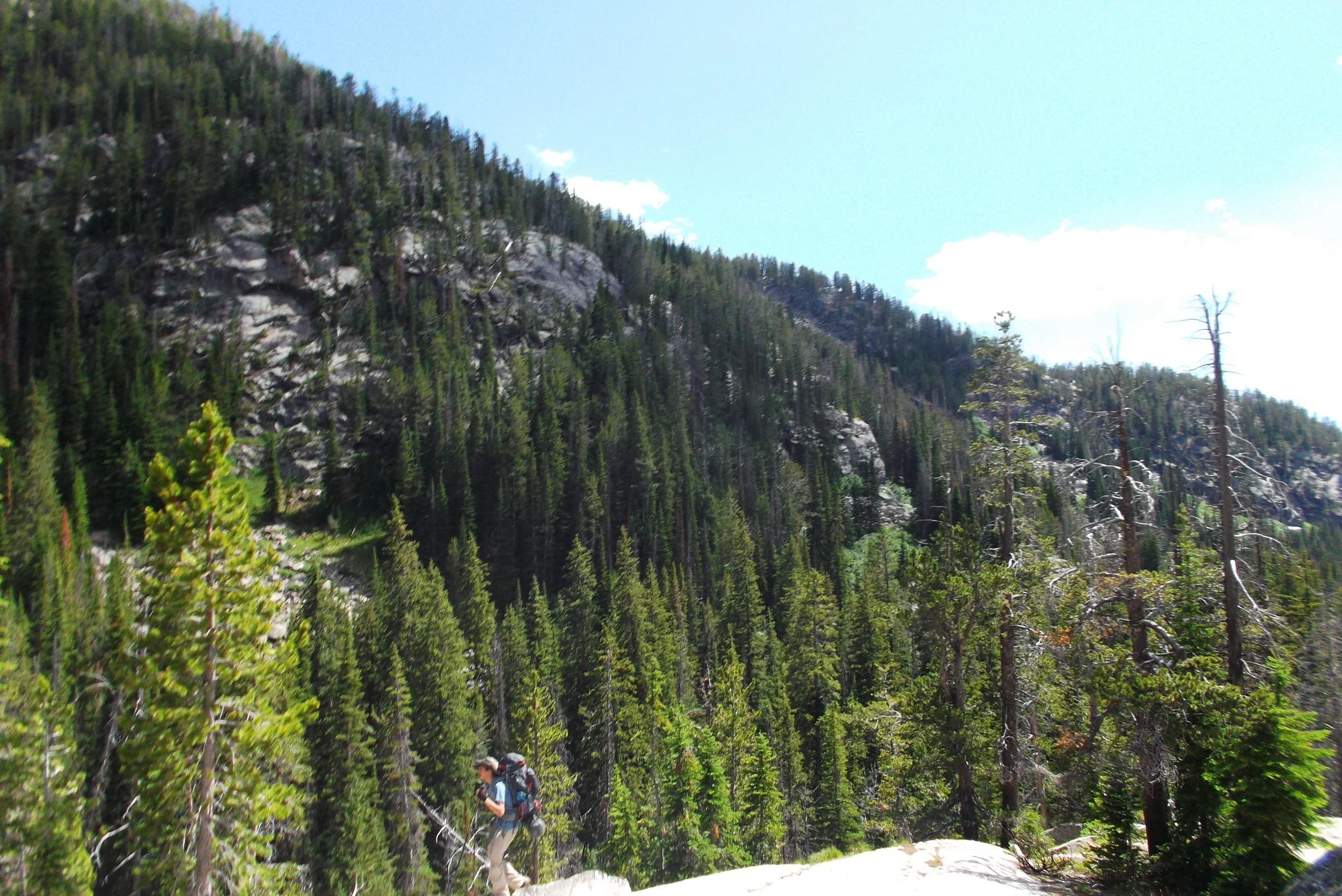 DSCF1706.JPG