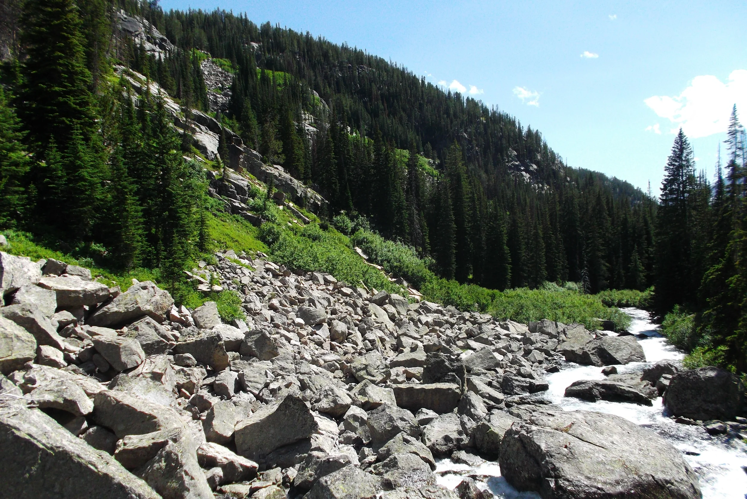 DSCF1718.JPG