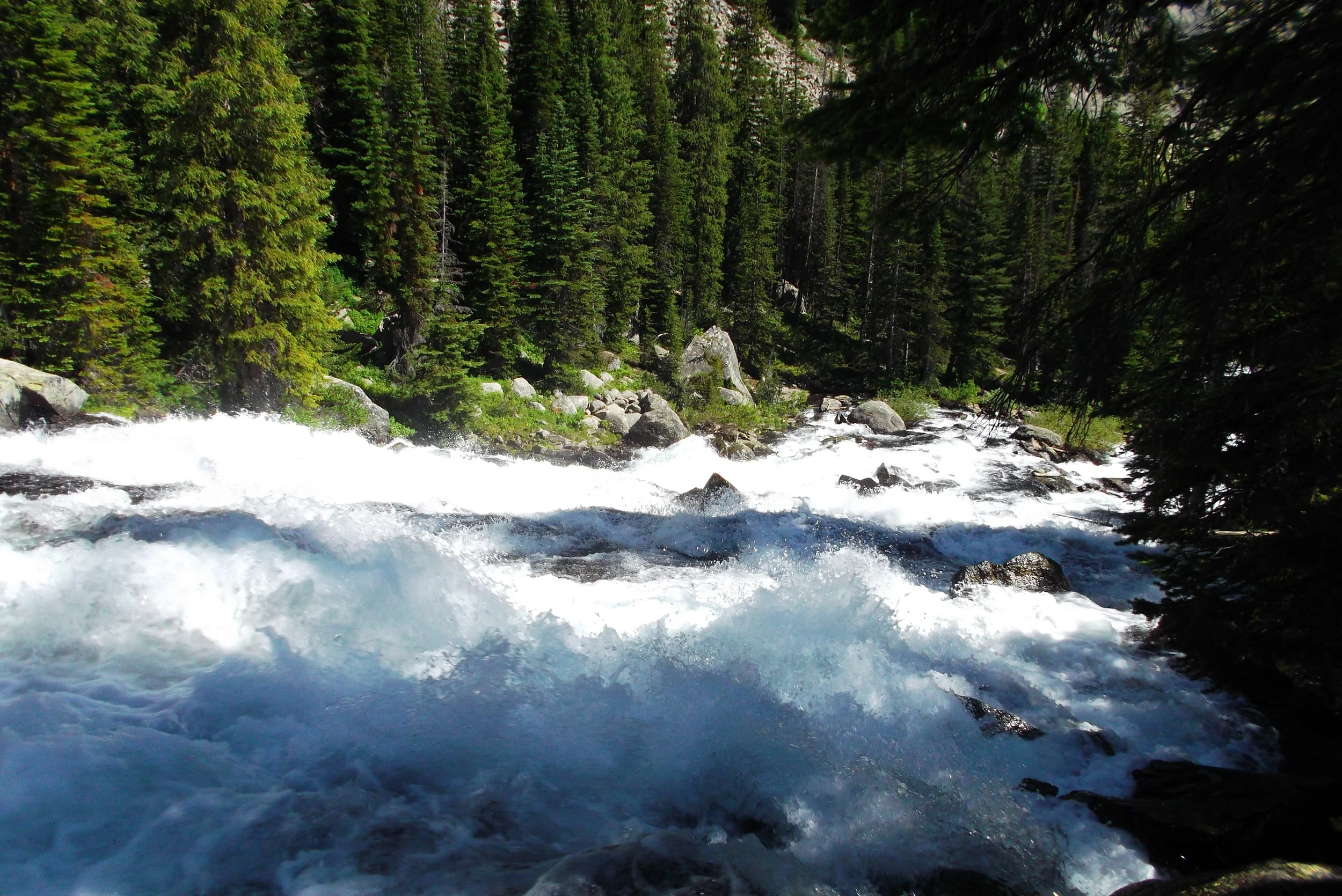 DSCF1722.JPG