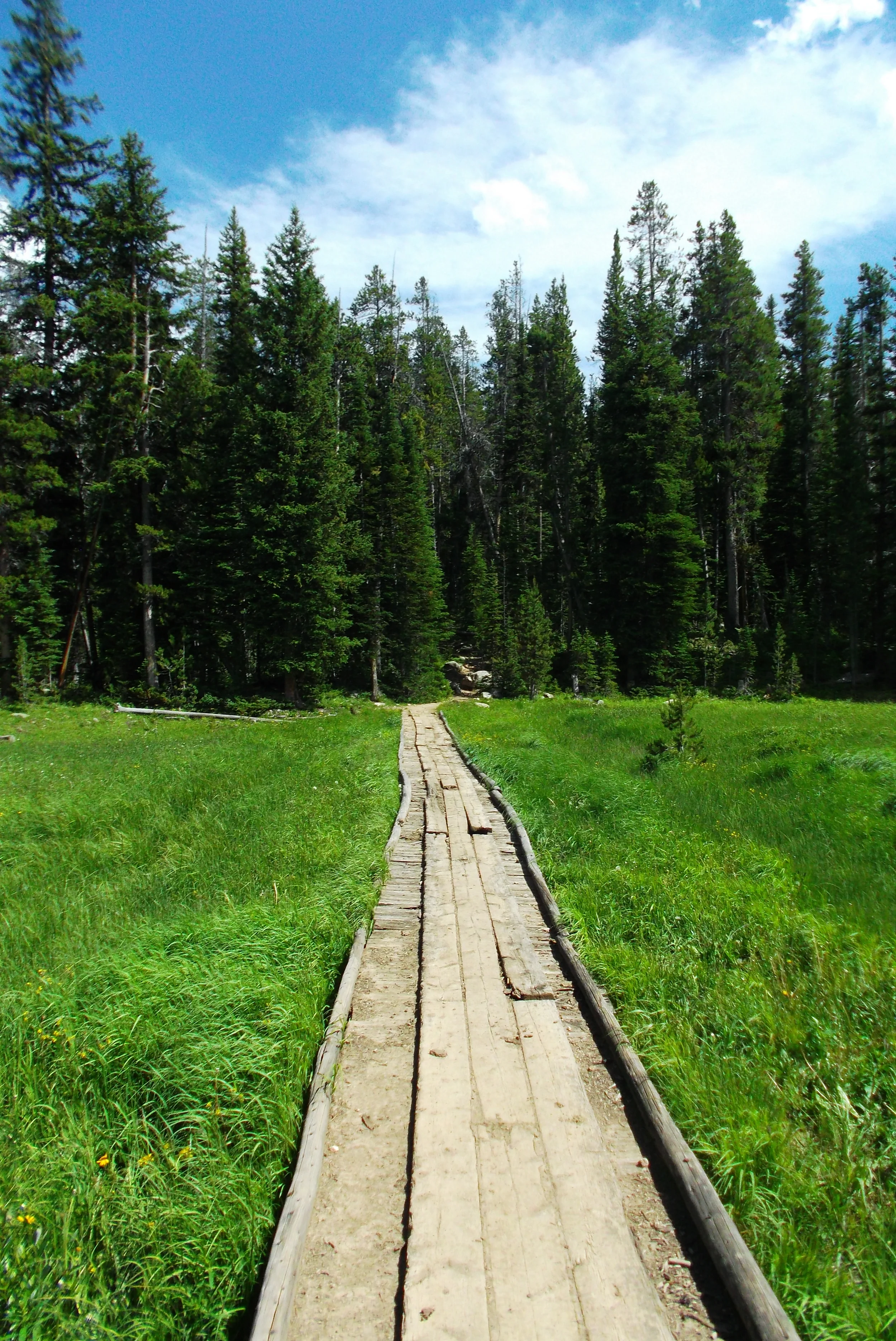 DSCF1629.JPG
