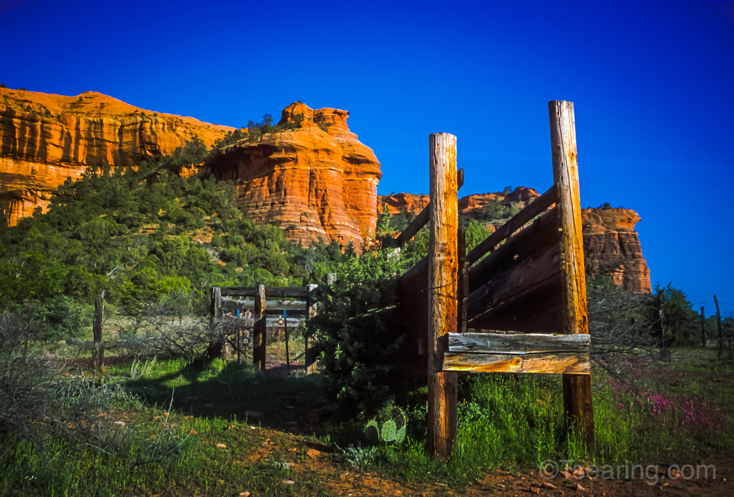 Sedona Coral different angle