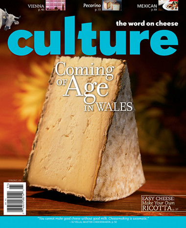 culture-magazine-cover-2009-spring.jpg