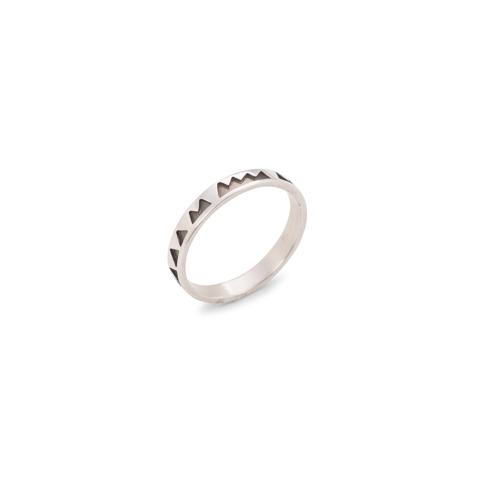 Thin Mountain Band-001.jpg