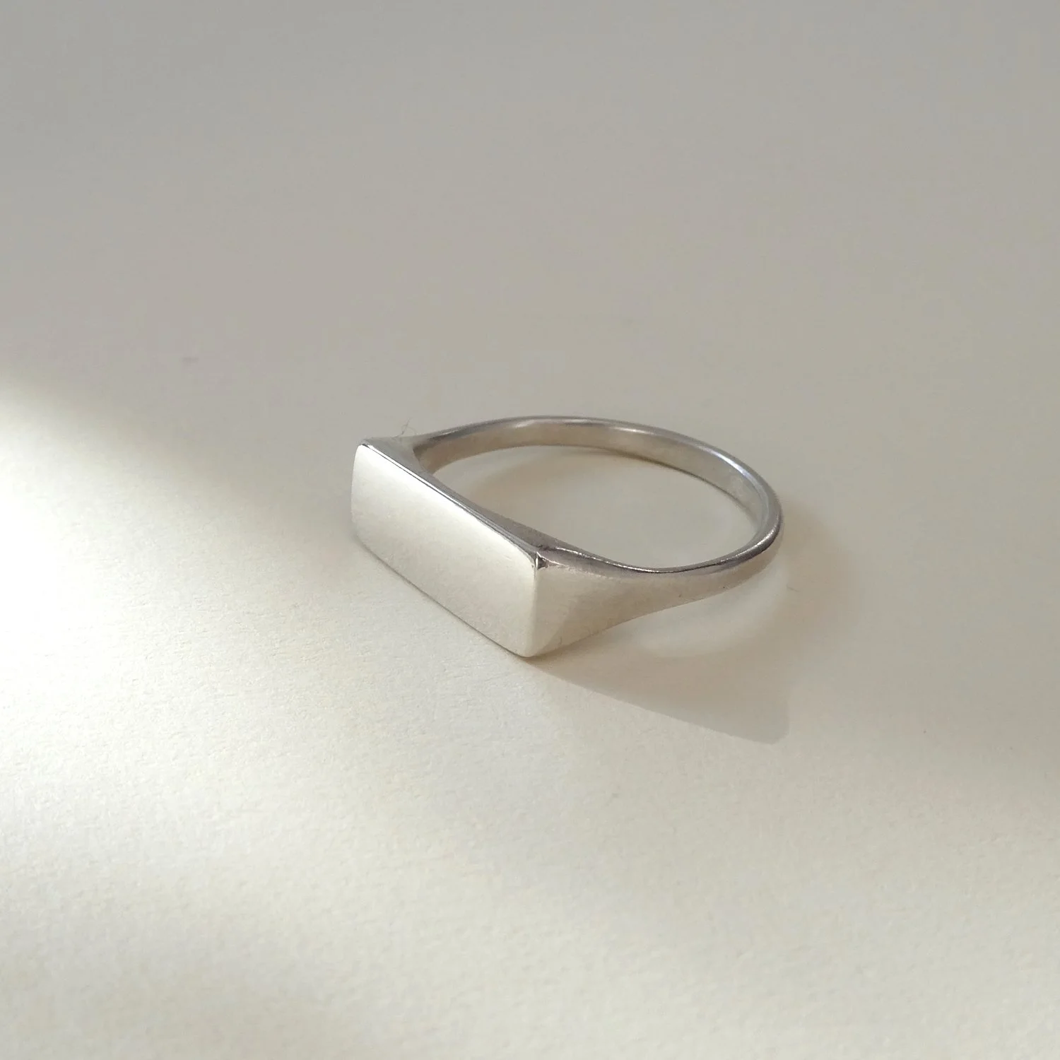 mini sig rectangle front.JPG