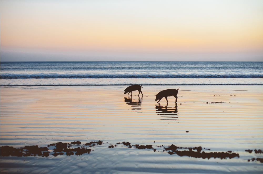 Love is real. Astillero beach