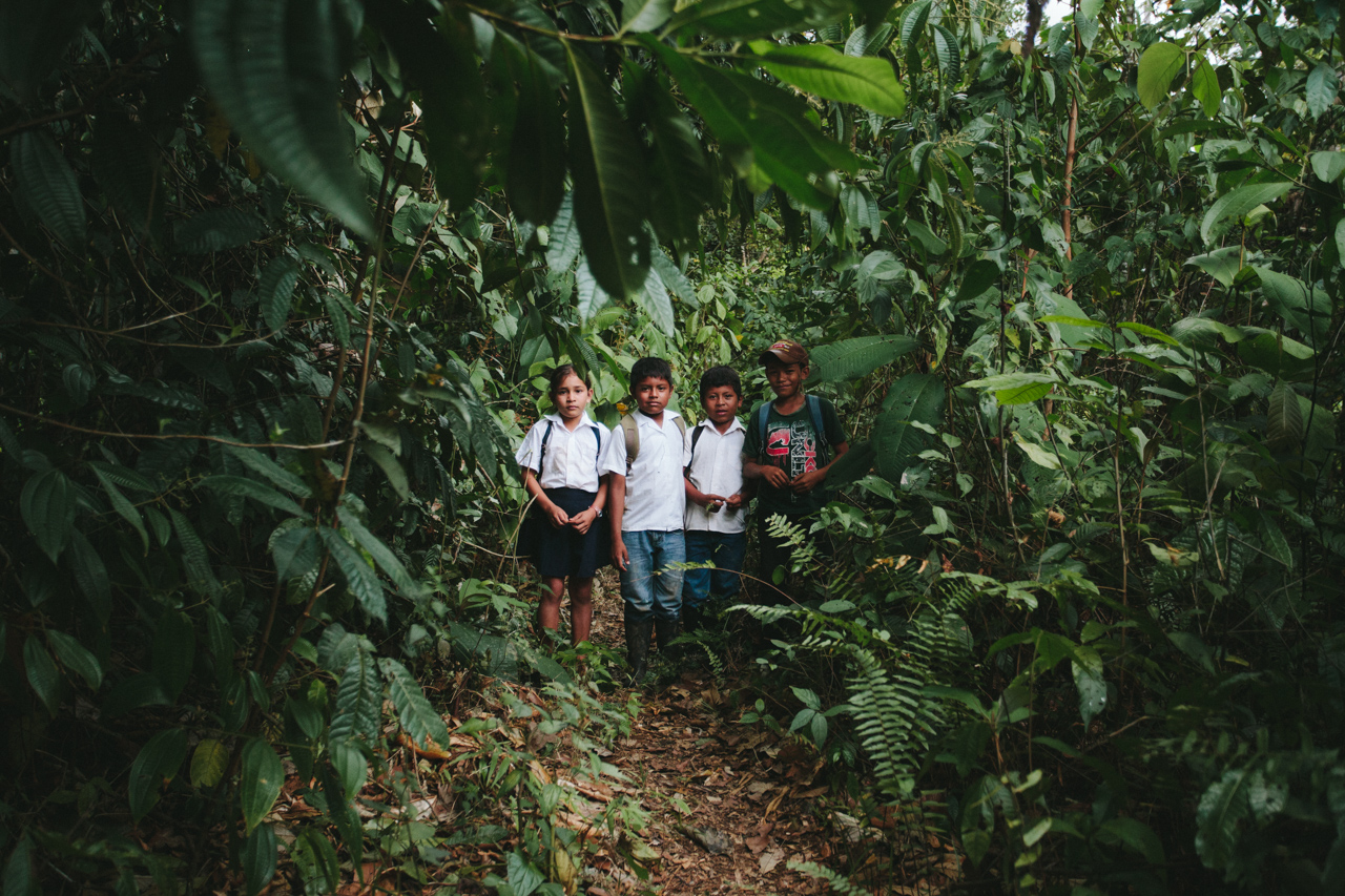 To get to school you need to break through the jungle first. Jarelis - first on the left. 