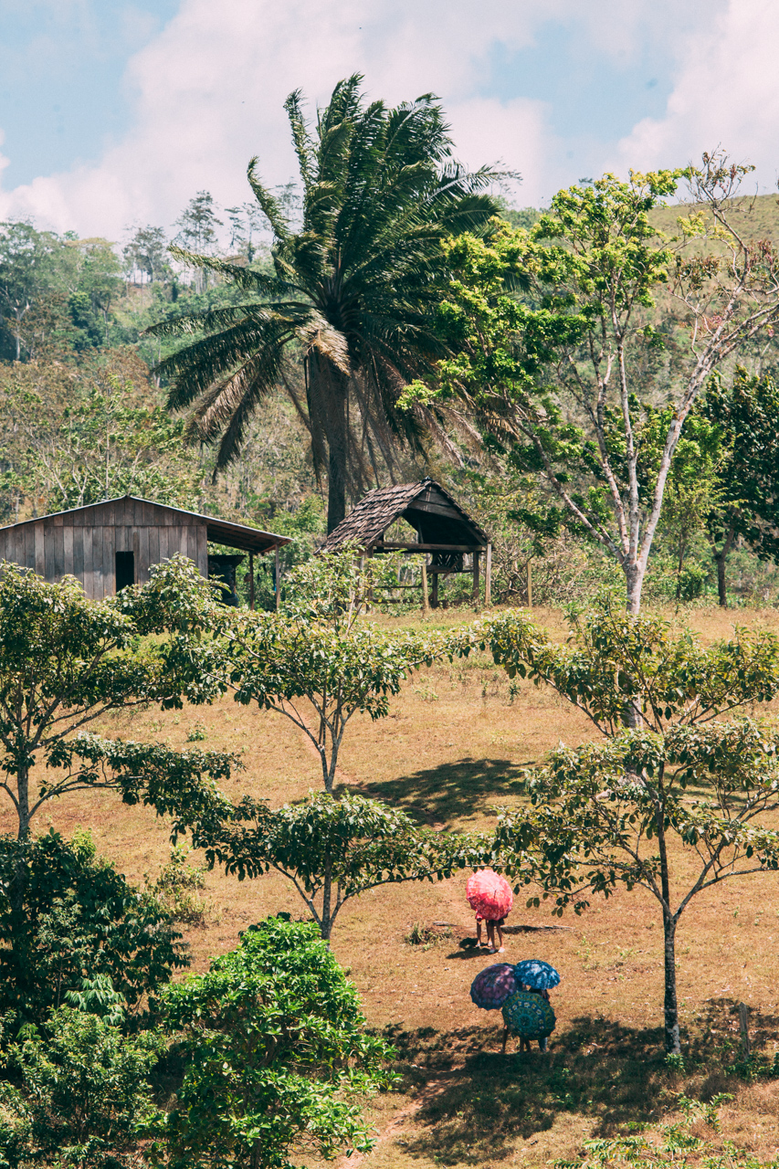 Walking back from school - Up the mountain with umbrellas to hide from burning Nicaraguan sun.