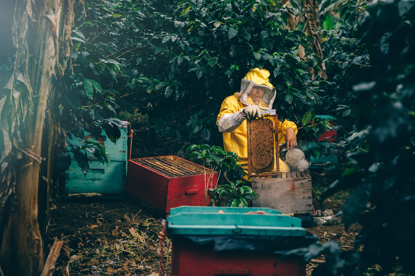 Ever says that the bees have taught him a lot on how to work together for the good of the whole community.