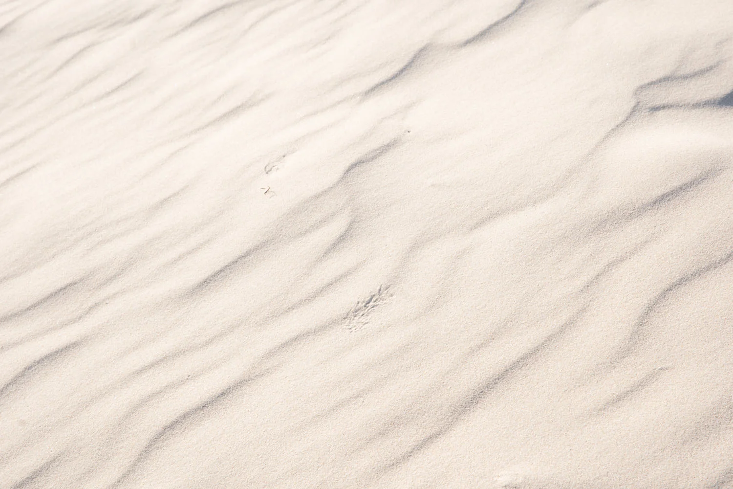 Baltic-Sea-Poland-Photography-01158.jpg