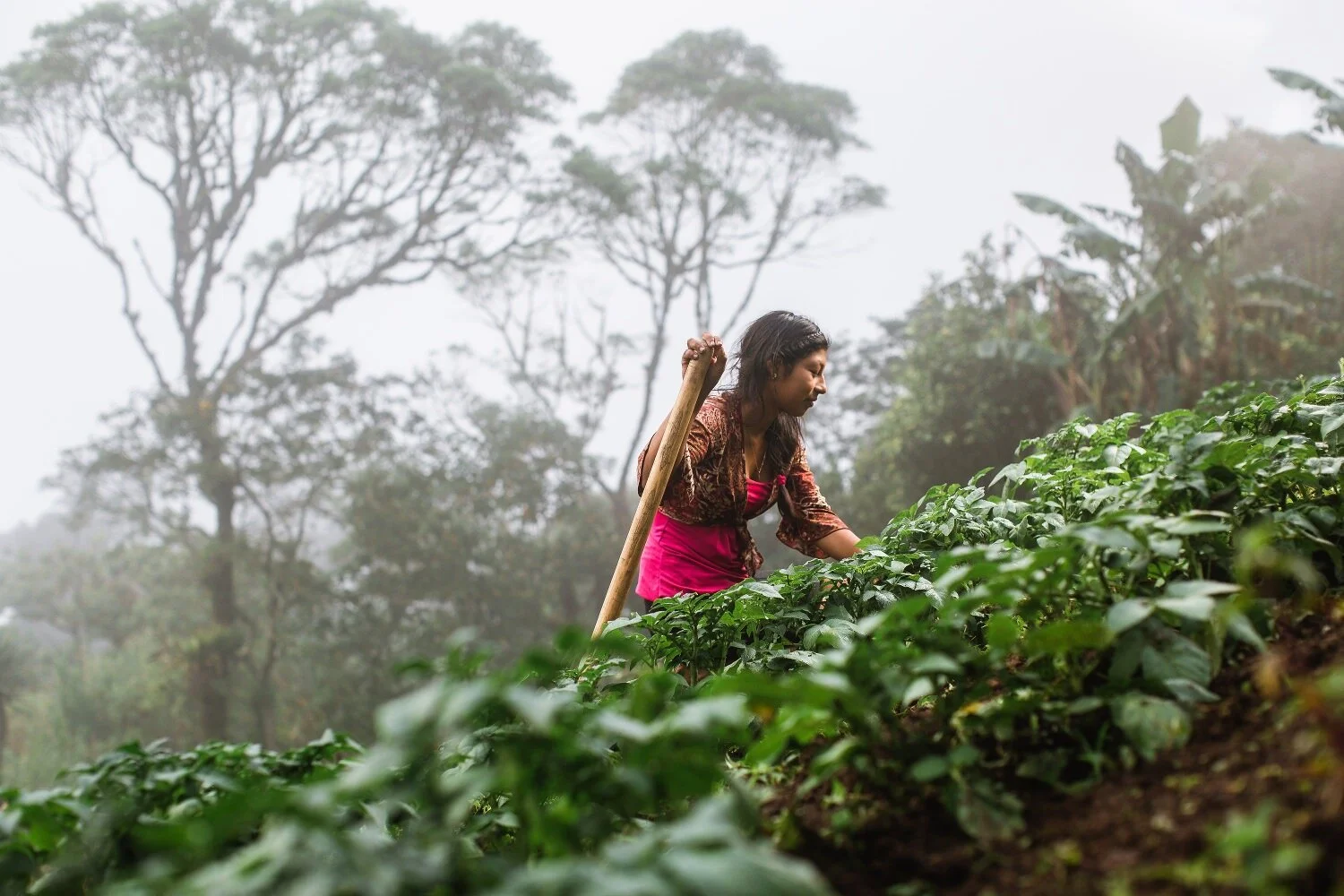 indigenous farmer photography - humanitarian photographer nicaragua-Exposure.jpg