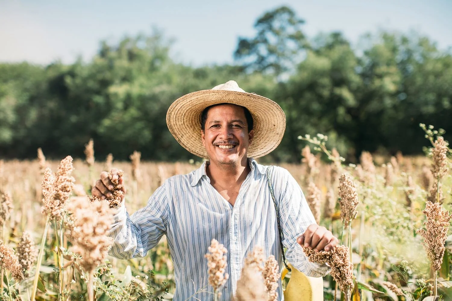 Sorgo Farmer Latin America - Cargill Car Foundation - ngo photographer-Exposure.jpg