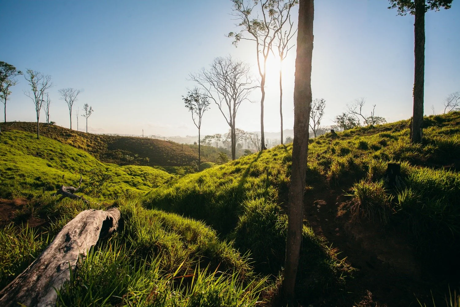 landscsape_deforastation_nicaragualandscsape_deforastation_nicaragua.jpg