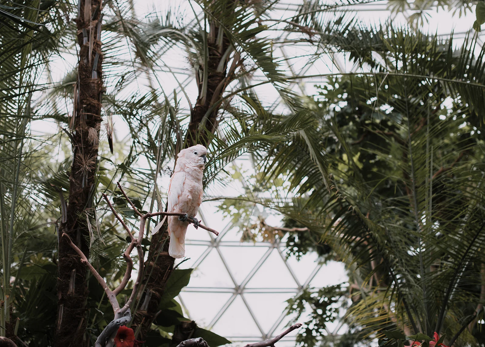 Fernanda _ Will_Ceremony-3.jpg