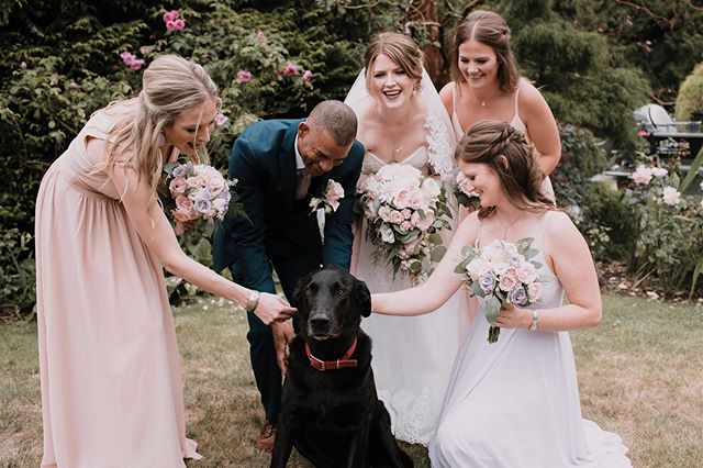 The dog days of summer might be over, but make no mistake - you should always have lots of dogs in your day 🐶 .
.
.
.
. #vancouverweddingphotographer #pnwlife #makeportraits #pnwcollective #thatsdarling #yvrbride  #forthewildlyinlove #huffpostido #l
