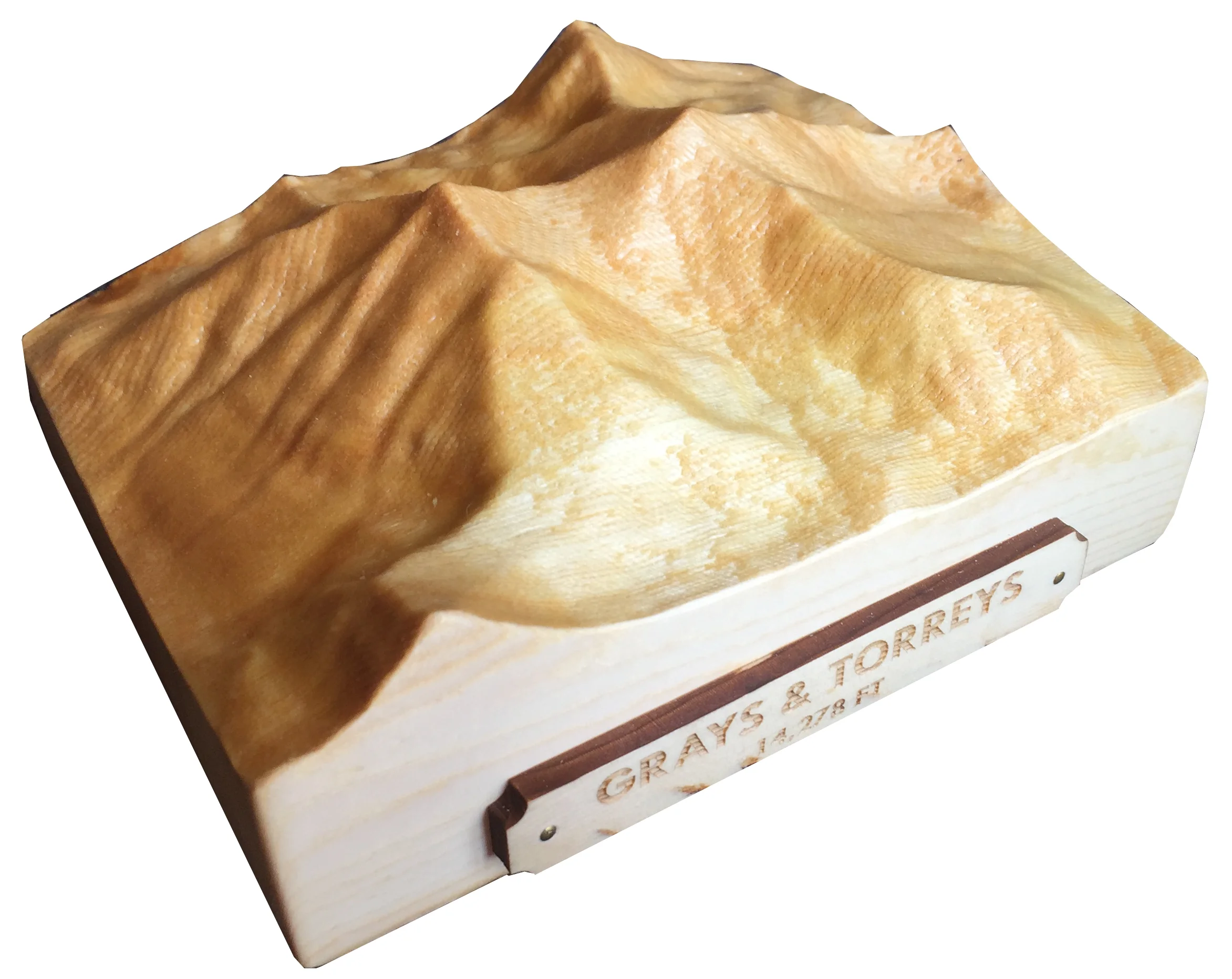 Grays Torreys Gift Carving.jpg