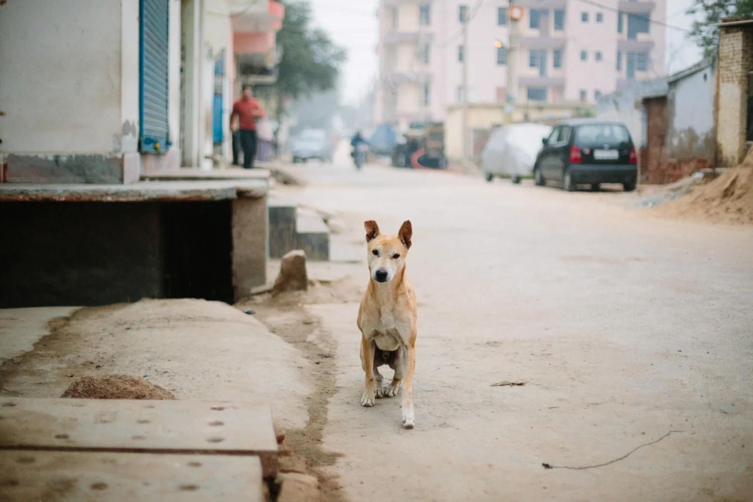 india-1.jpg