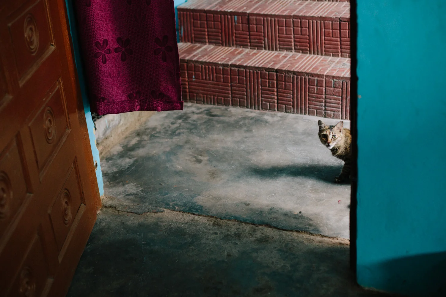 india-29.jpg