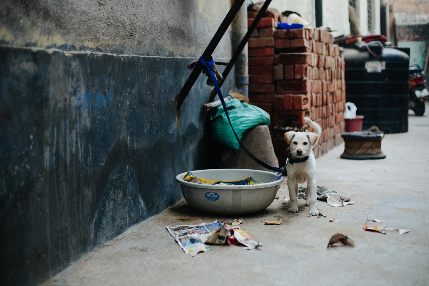 india-69.jpg