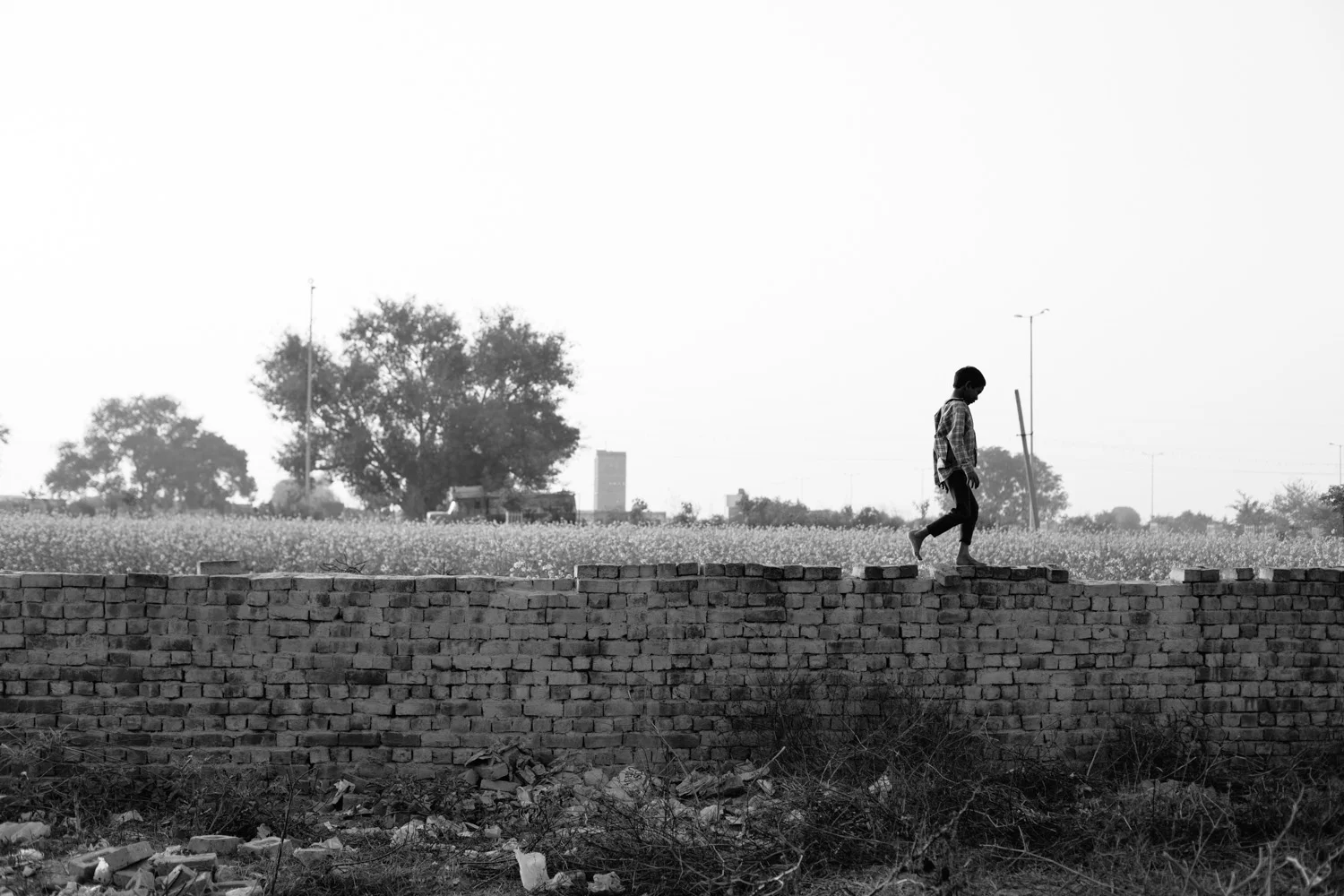india-104.jpg