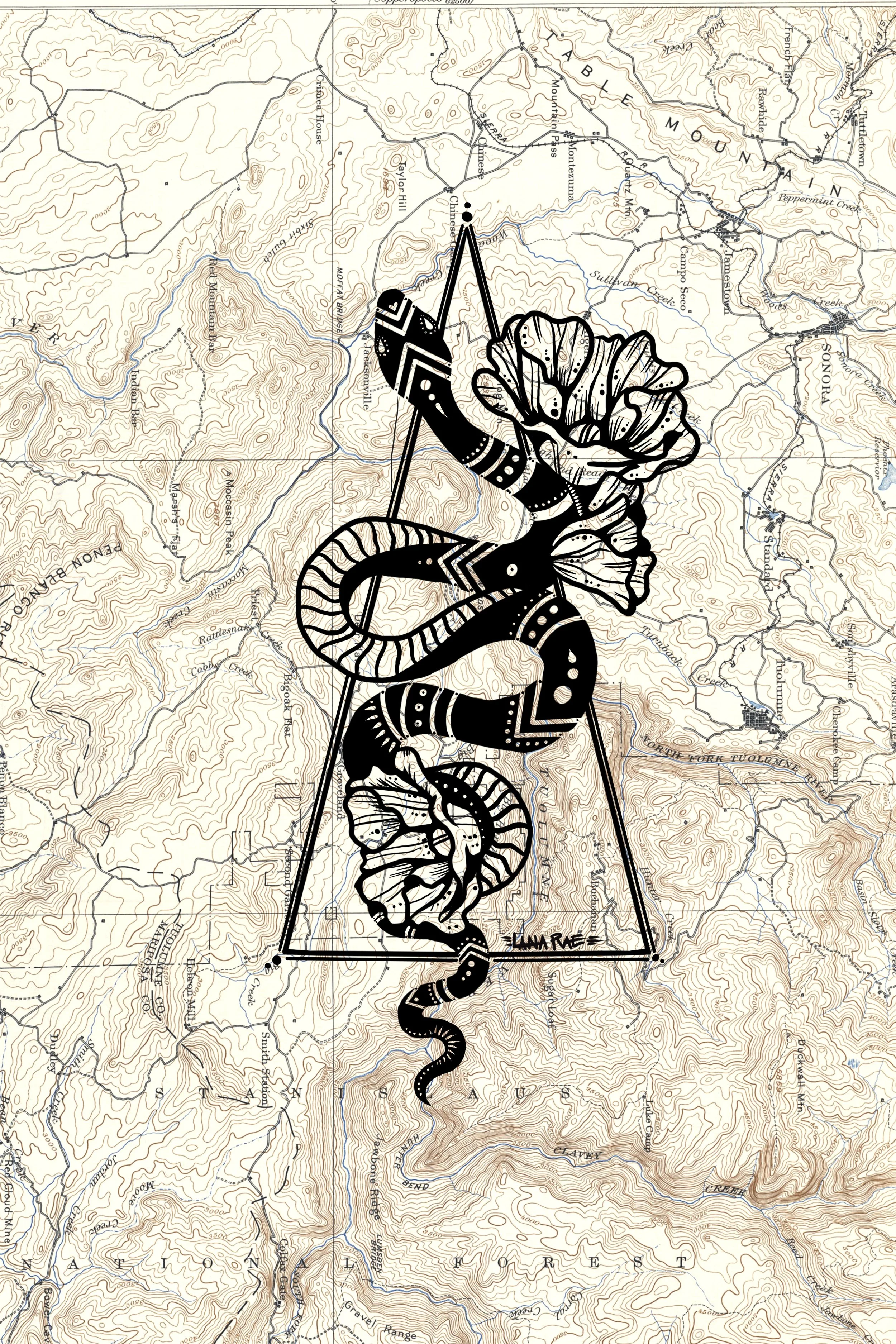 California "Queen" Snake
