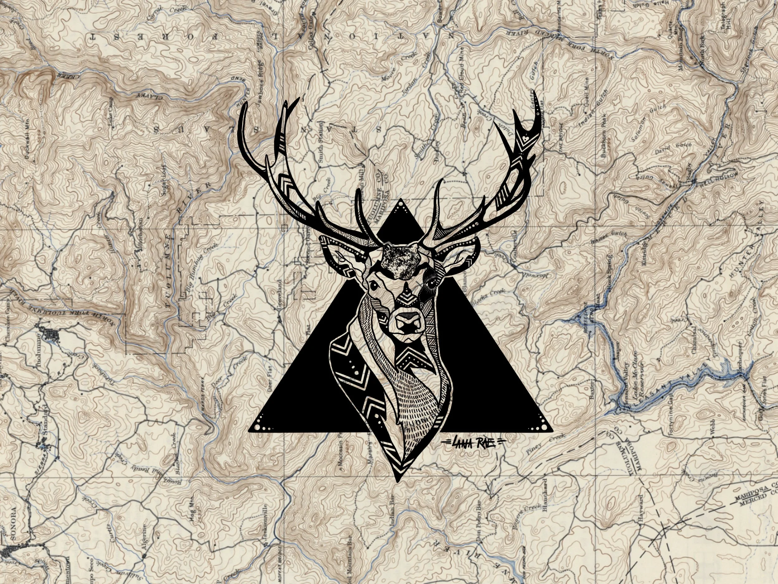 Round Valley Buck