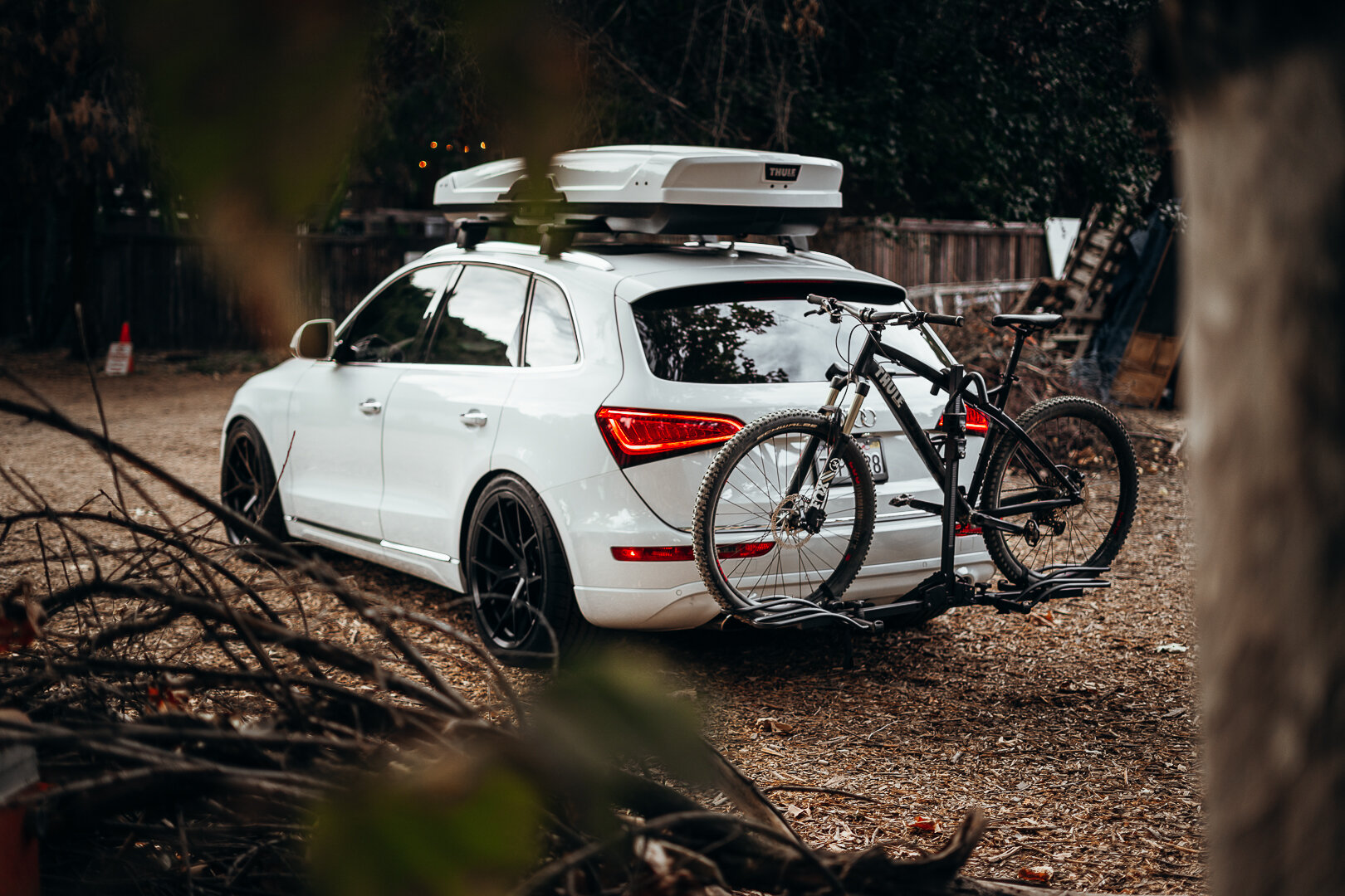 20191016ILCE-7M2untitled_TTD0294.jpg