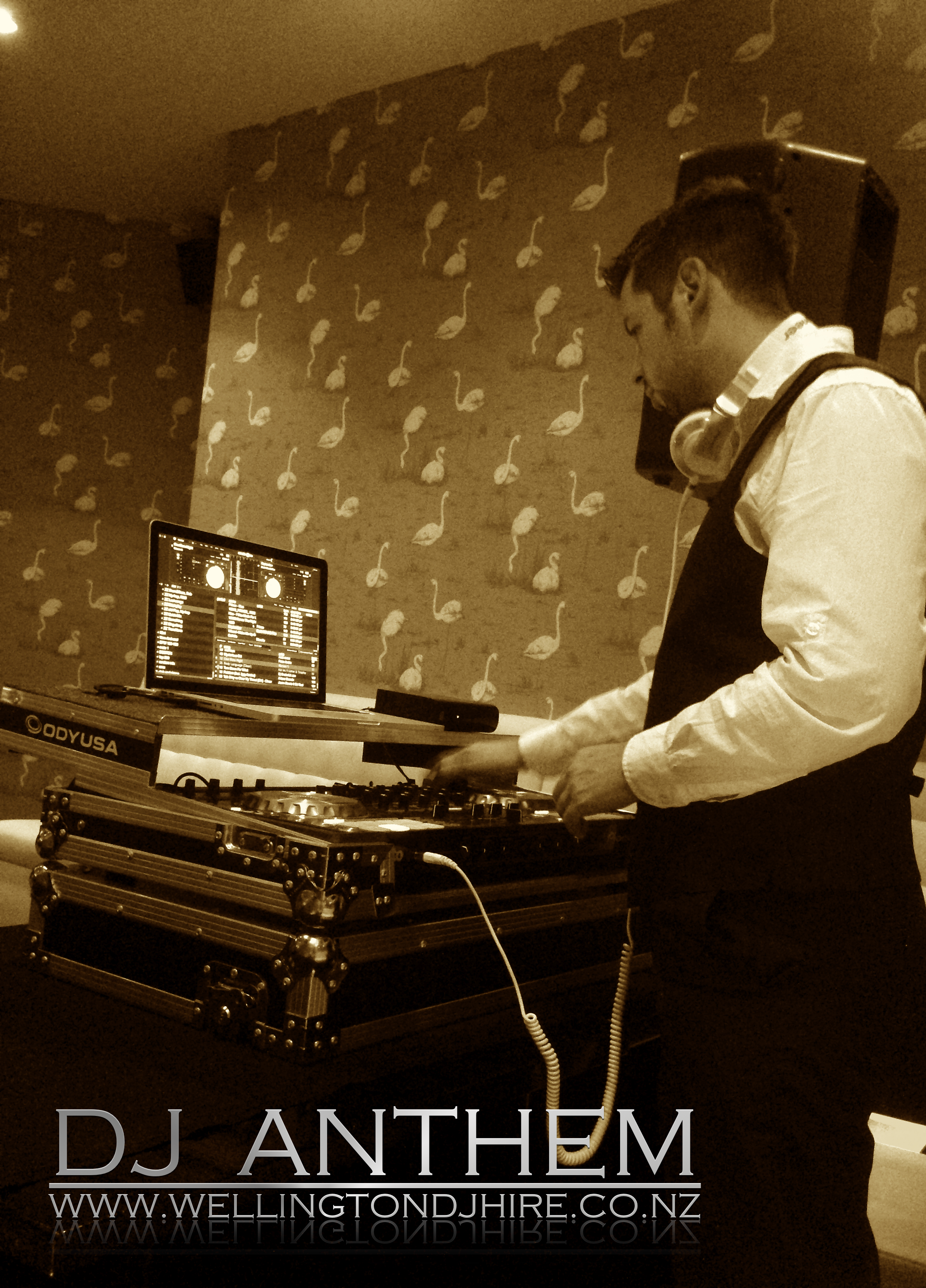 DJ Anthem Working at a private party.jpg
