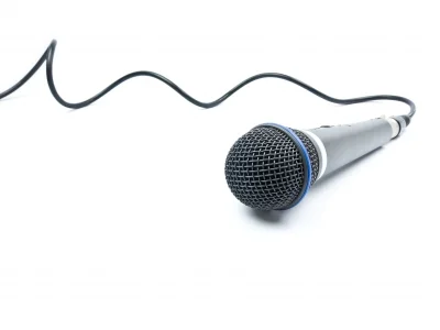 Microphone lead long.jpg