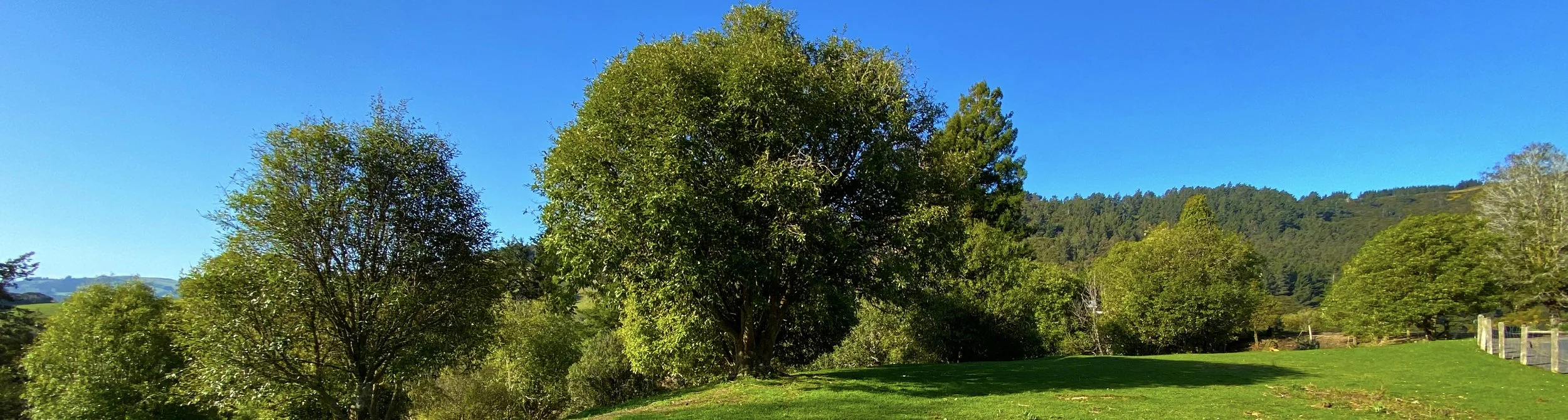 1header-73.jpg