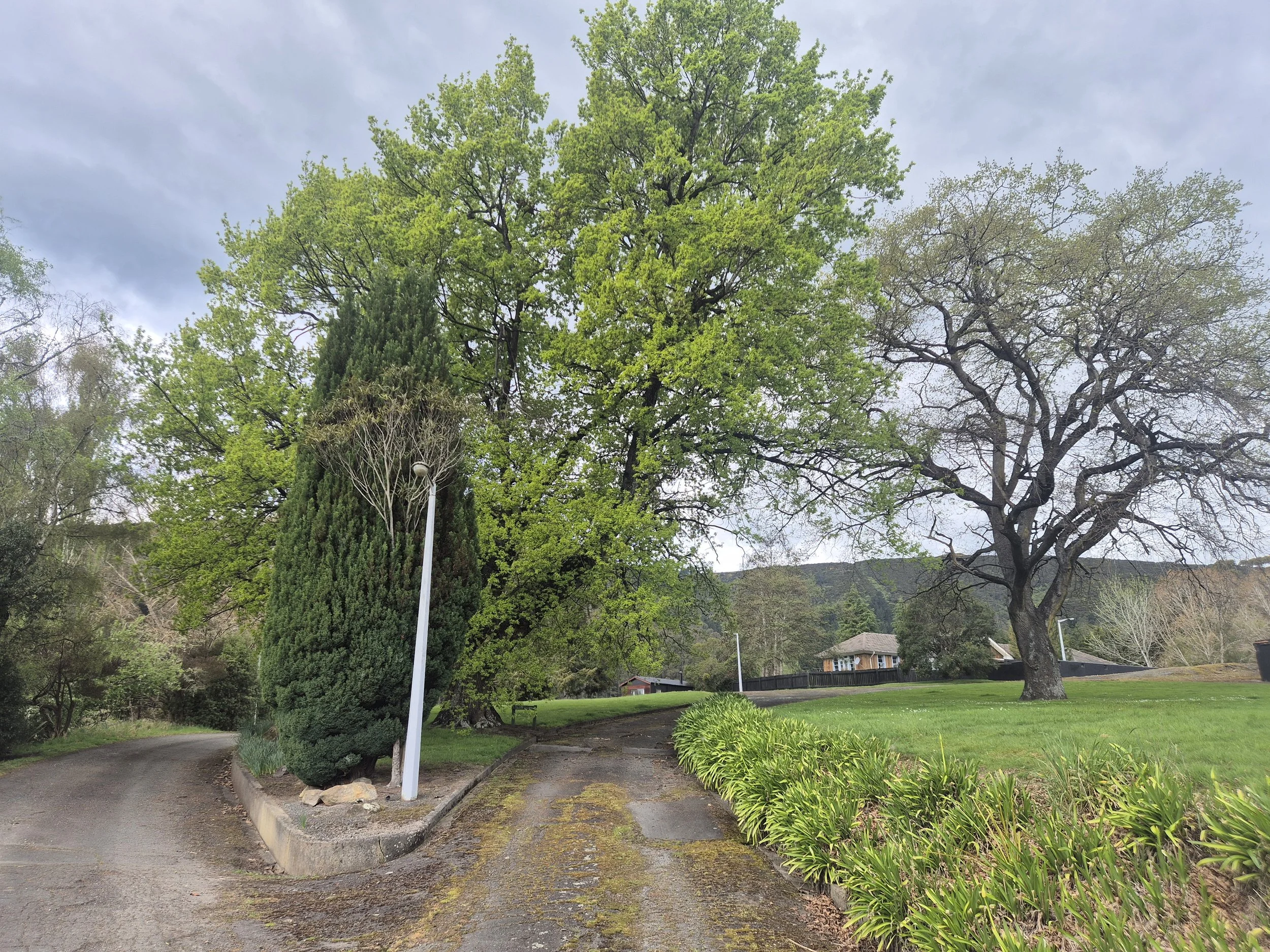 25-Grounds-approach-trees-and-setting-144210.jpg