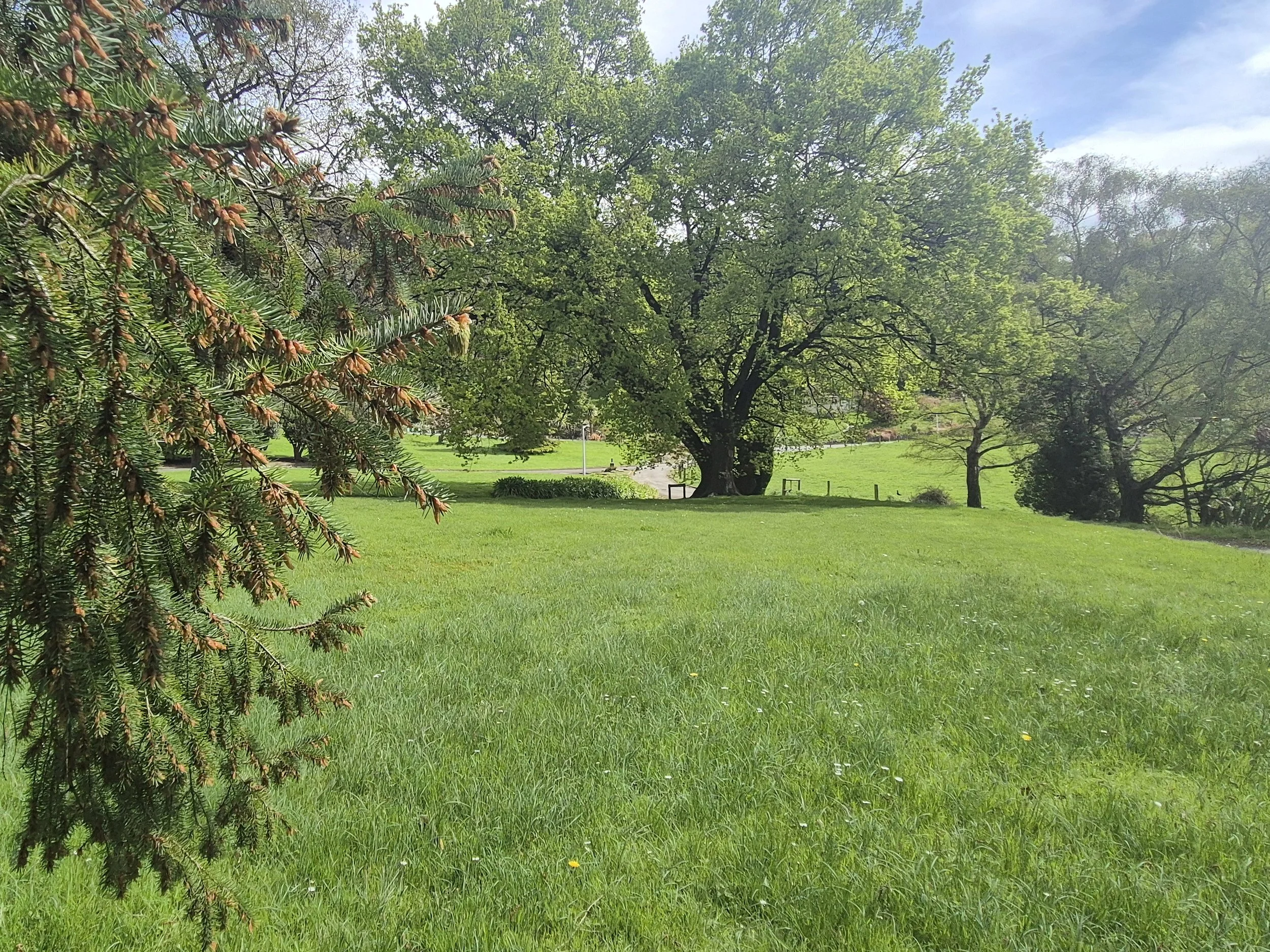31-Grounds-lawn-and-tree-setting-143837.jpg