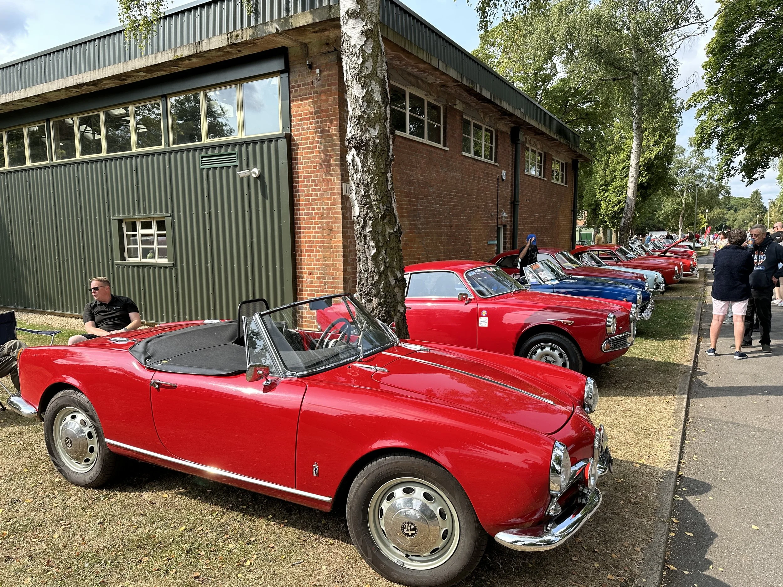 National Alfa Day, 18 August 2024