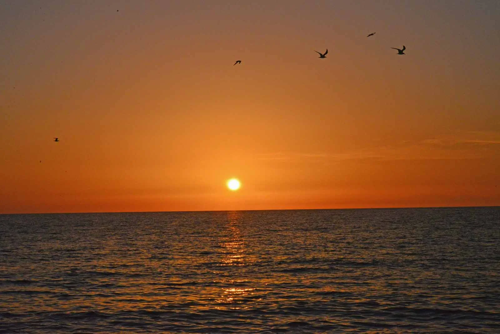Captiva Sunset 9.14.jpg