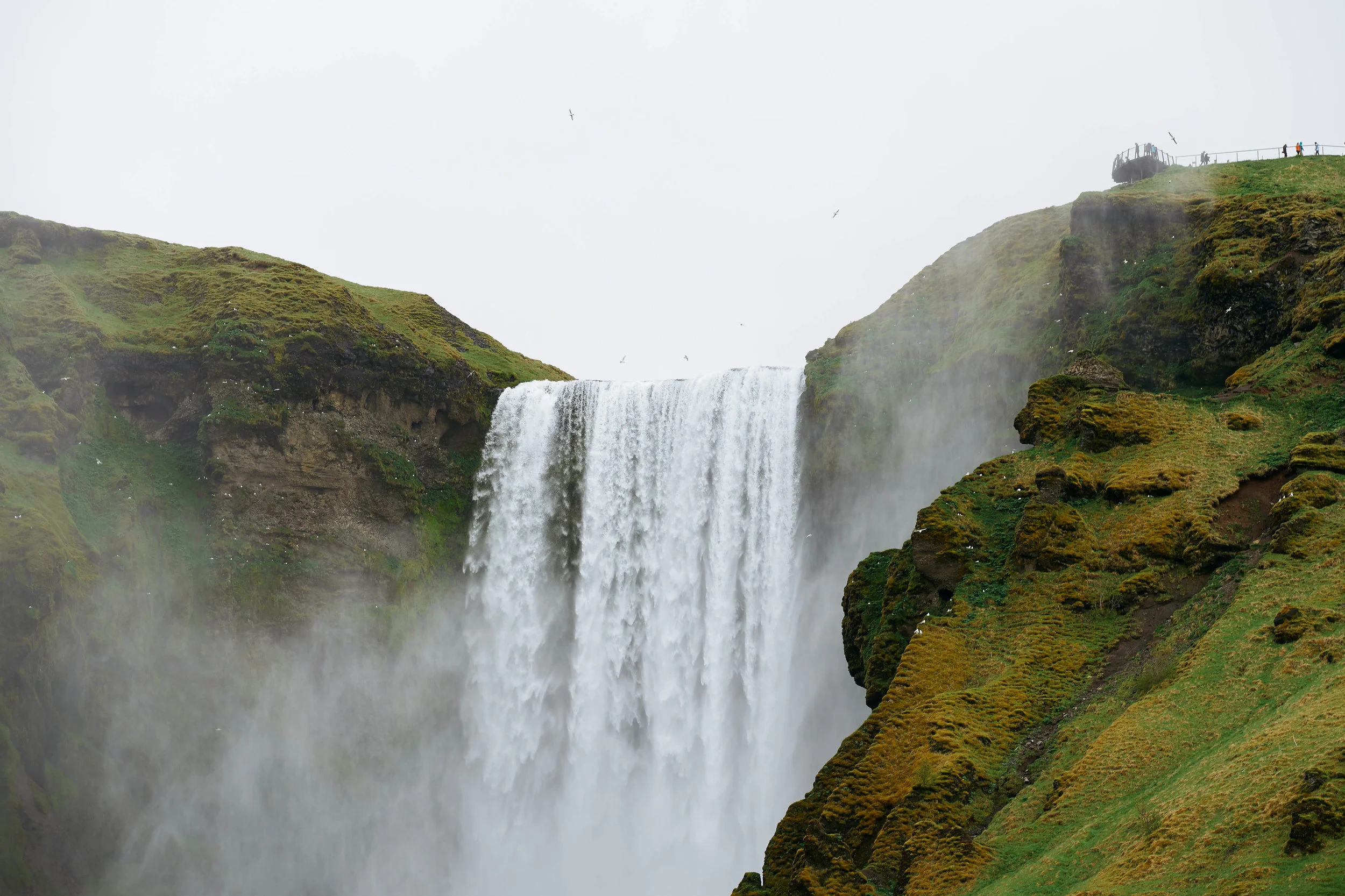 DSP-ICELAND-008.jpg