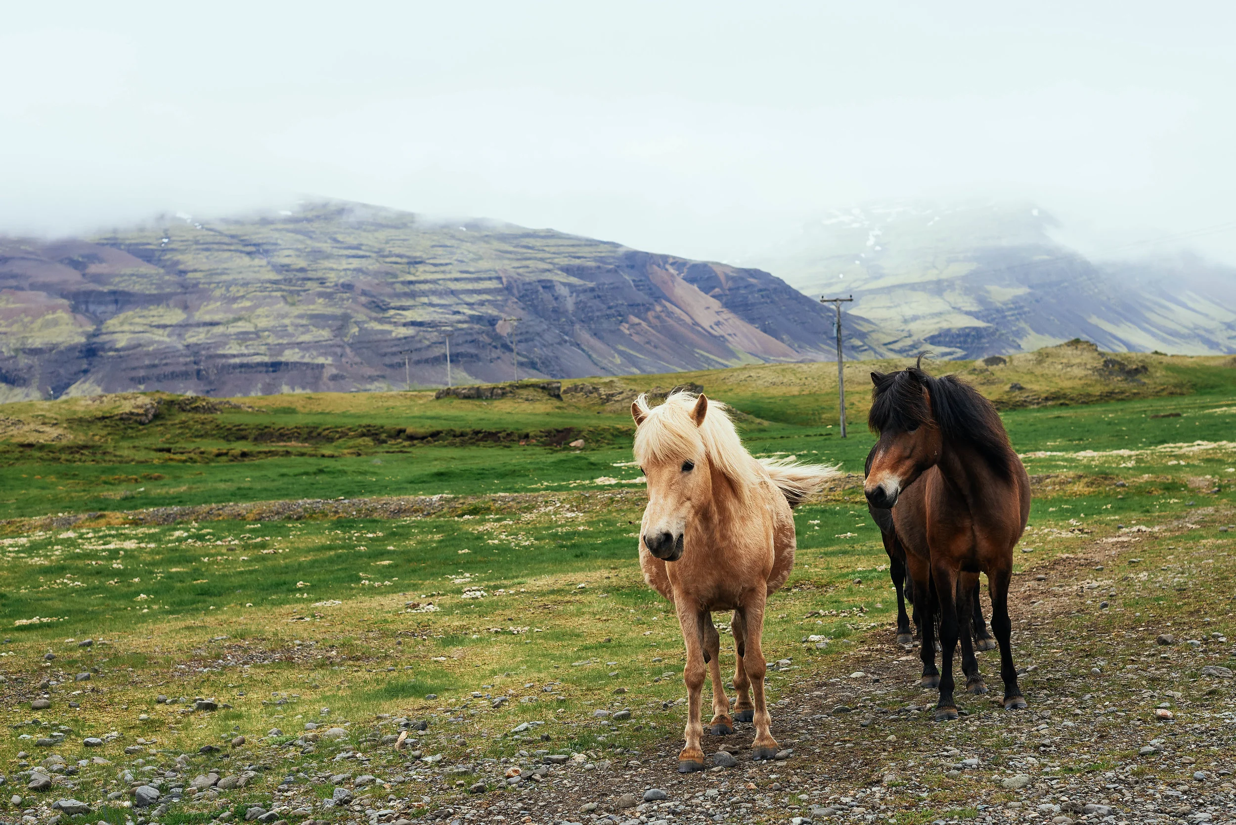 DSP-ICELAND-011.jpg