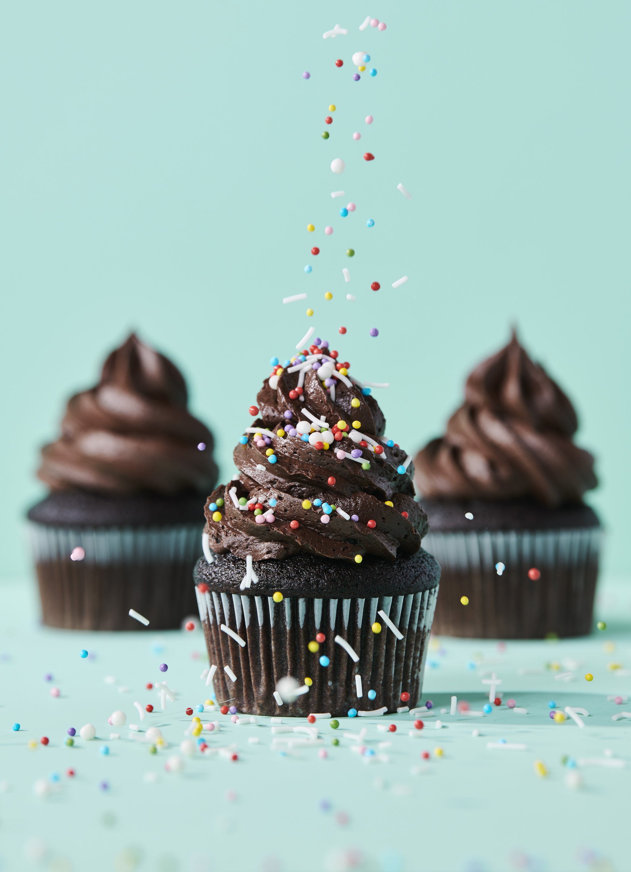 Chocolate-Cupcakes-Rainbow-Sprinkles-1375.jpg